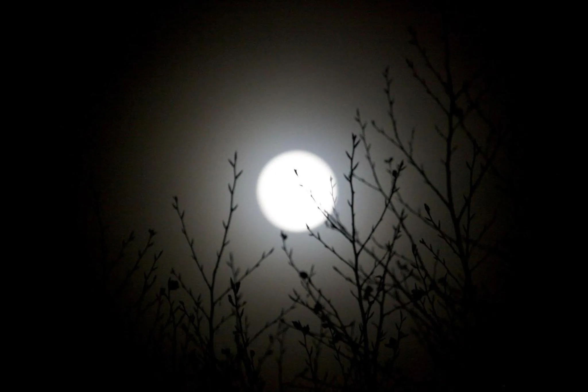 Night in B&B Il Piccolo Principe room and breakfast