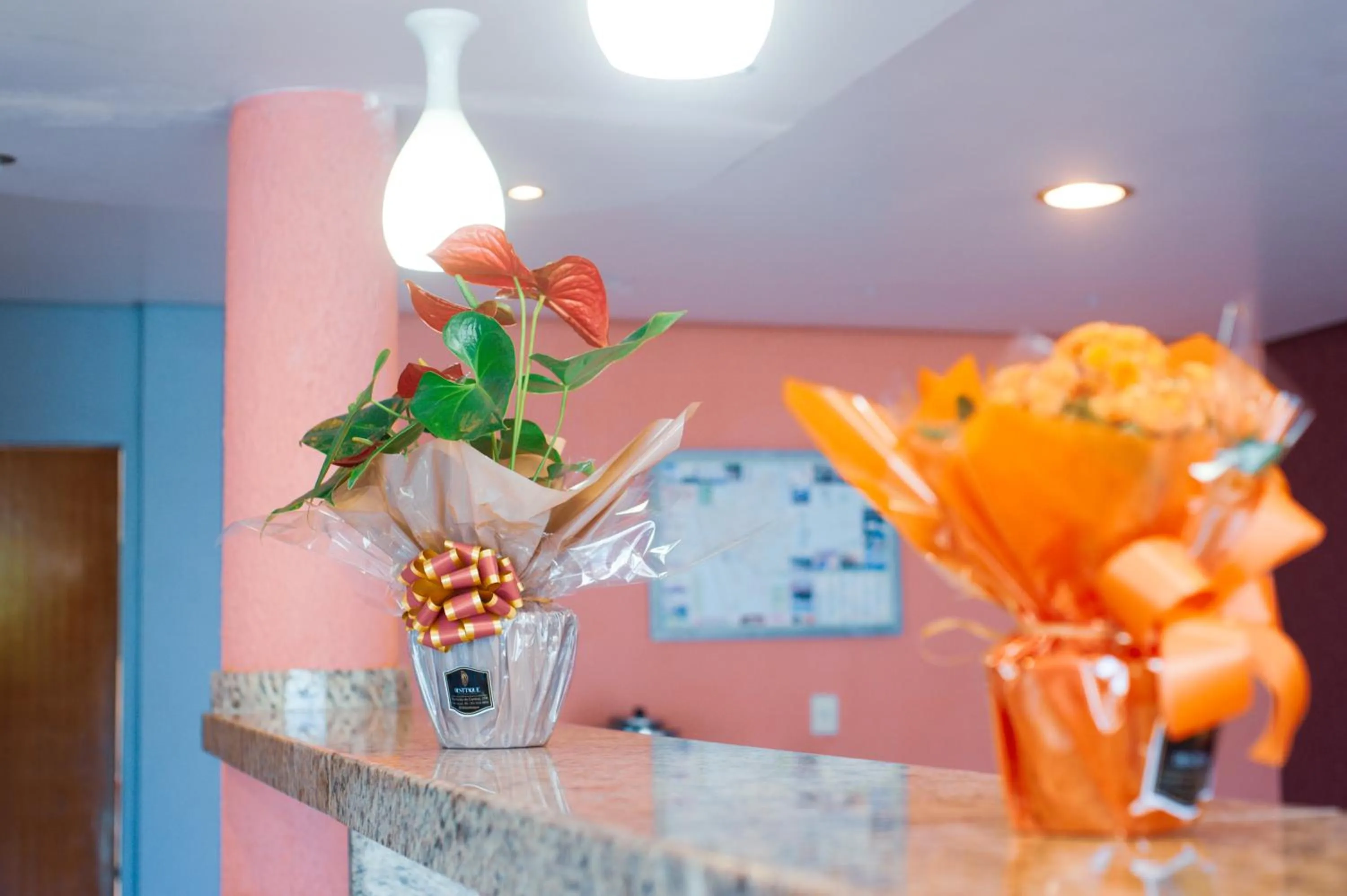 Hotel Caçula Do Pampa