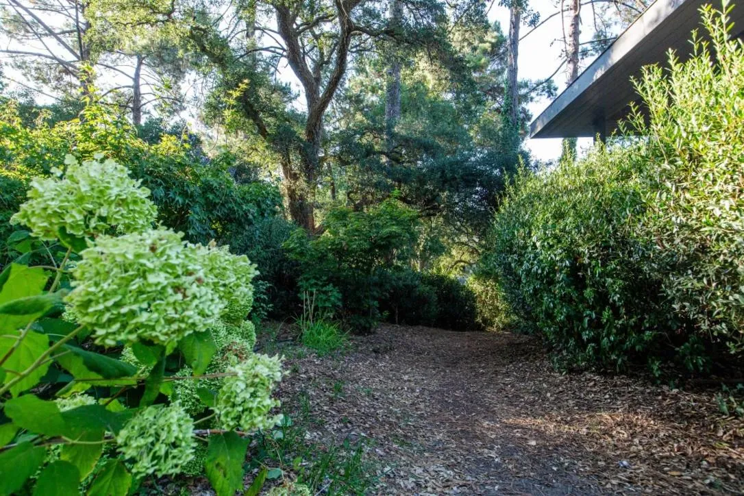 Garden in Villa AMANJANGO SEIGNOSSE-HOSSEGOR