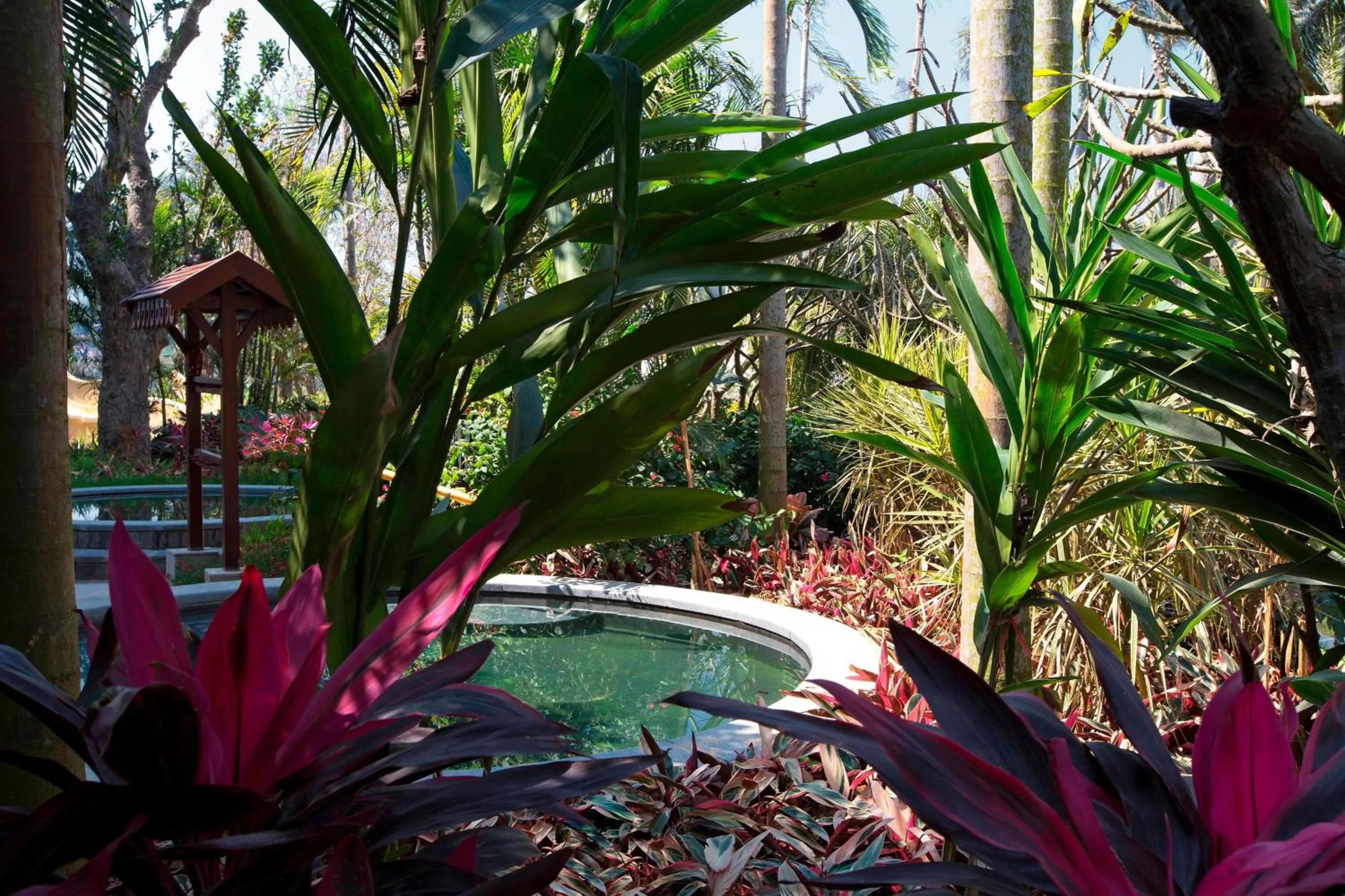 Swimming pool in Sheraton Grand Xishuangbanna Hotel