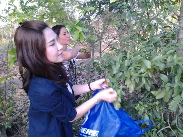 Activities in Sukhothai City Resort