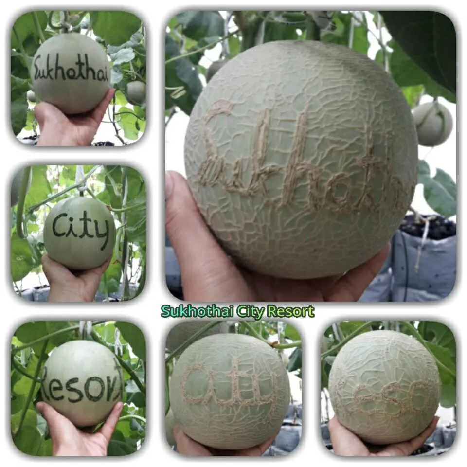Sukhothai City Resort