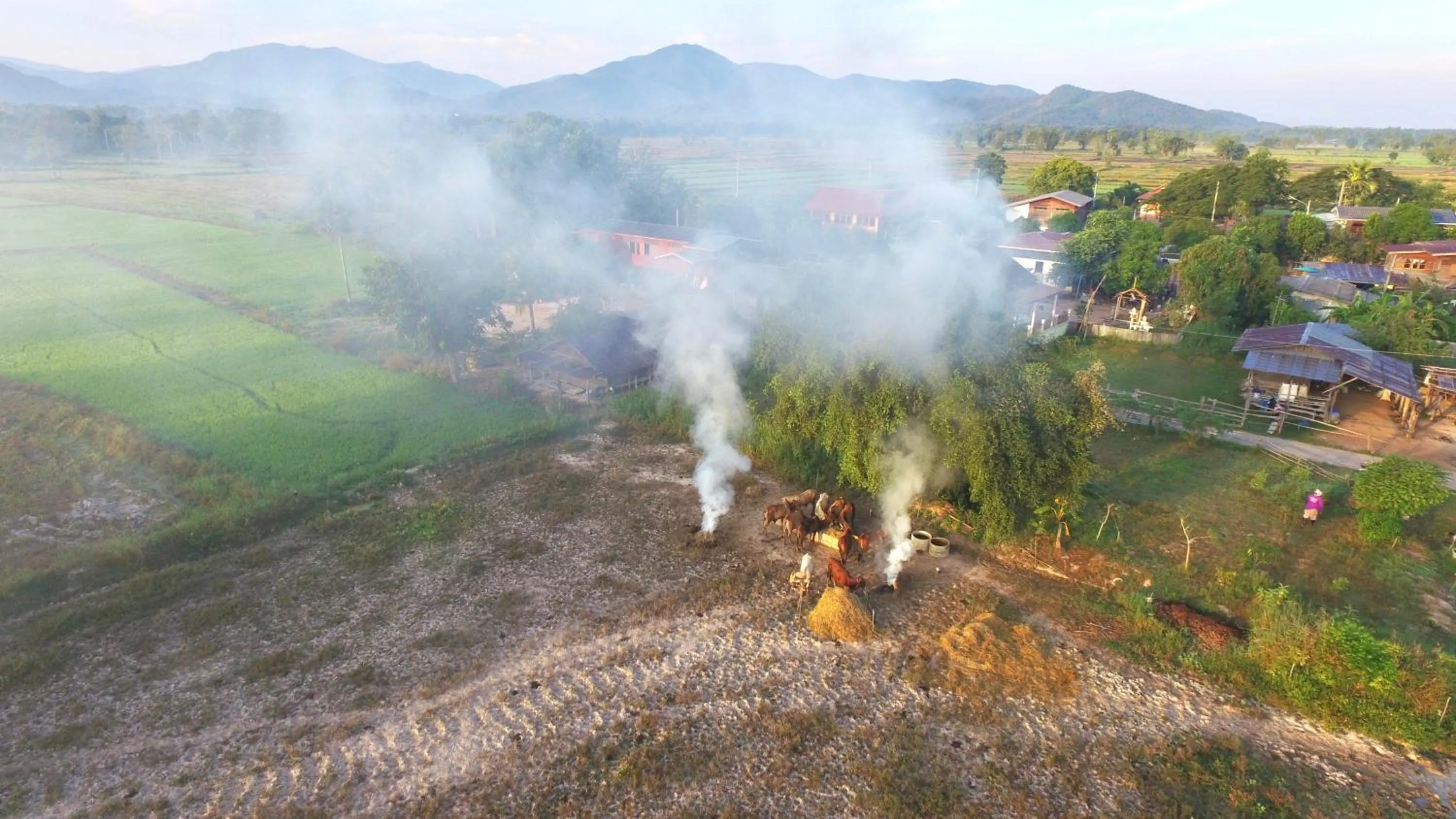 Sukhothai City Resort