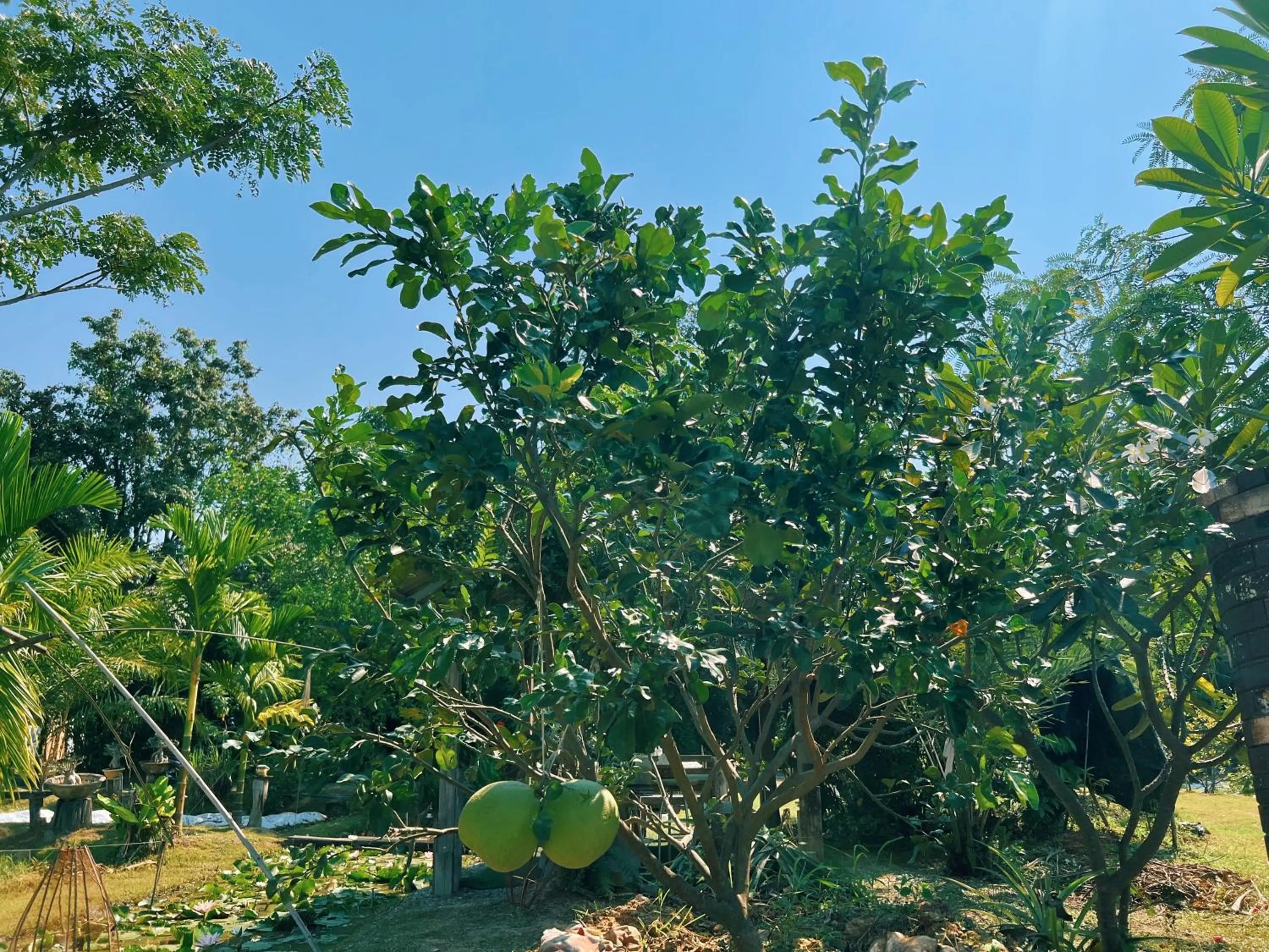 Sukhothai City Resort