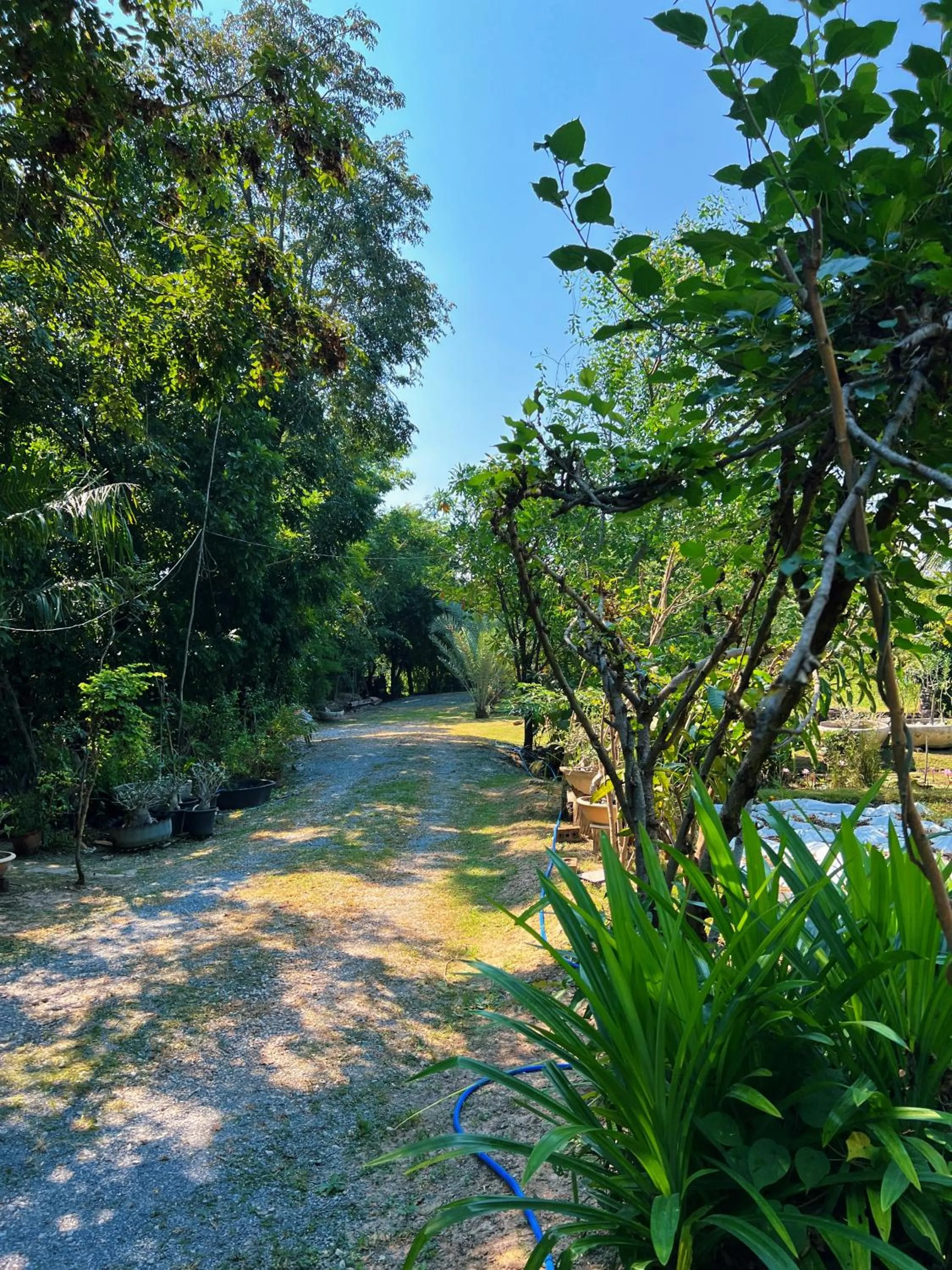 Sukhothai City Resort