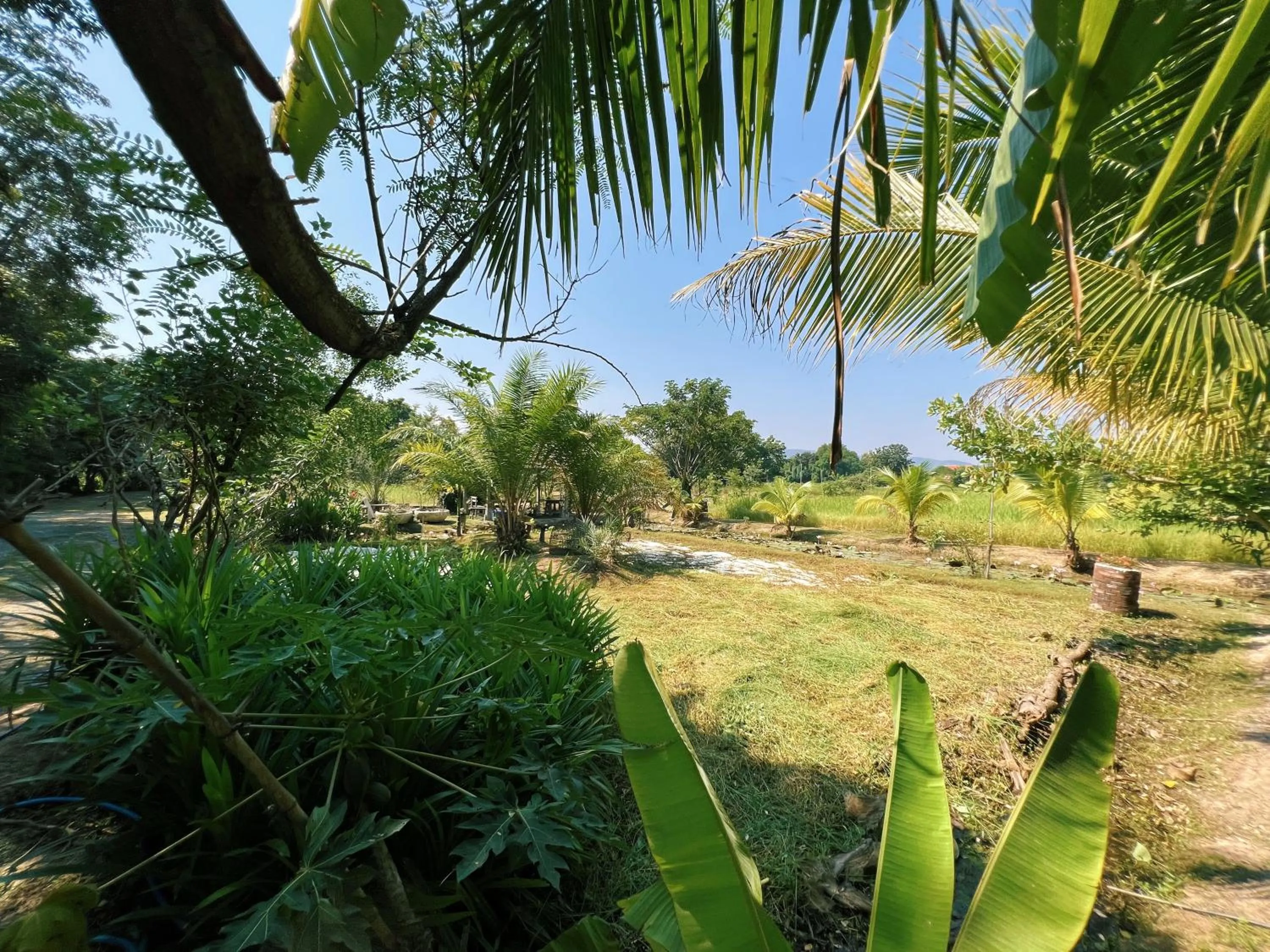 Sukhothai City Resort