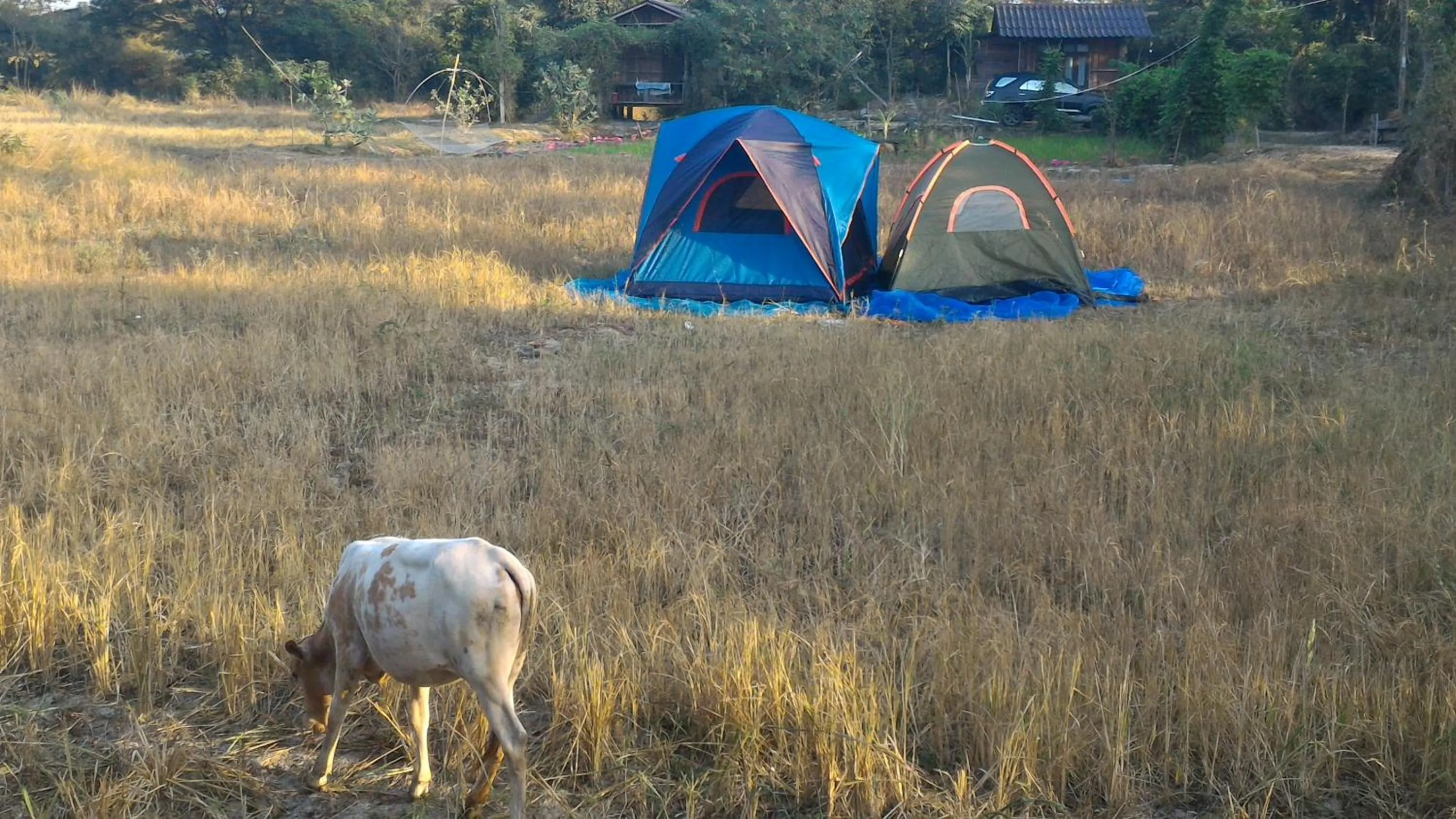 Other in Sukhothai City Resort