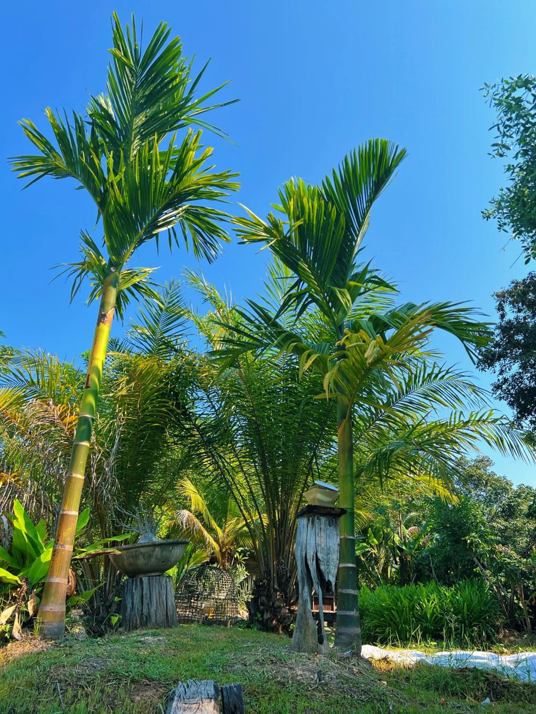 Sukhothai City Resort