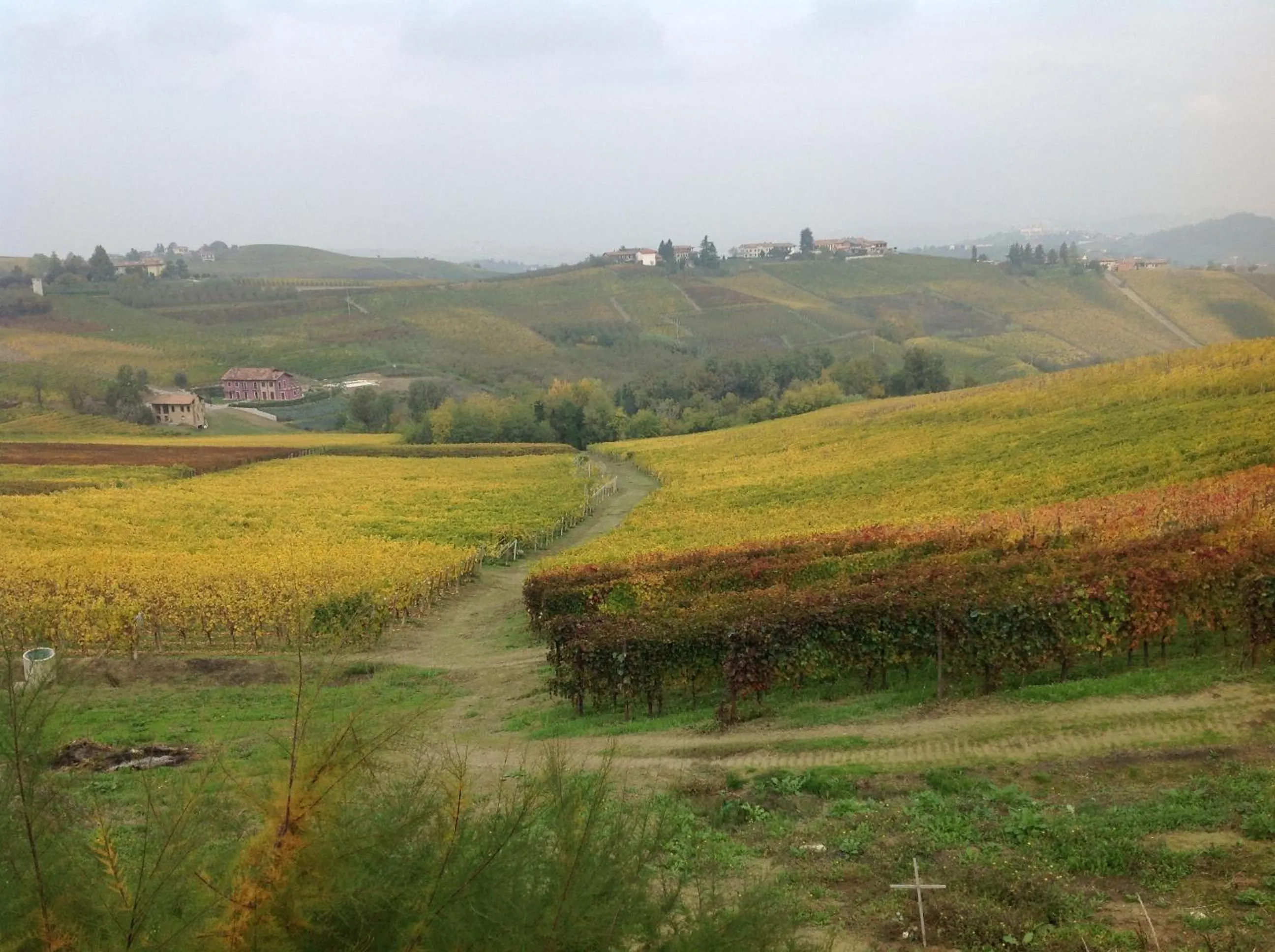 Area and facilities in Agriturismo La Casa in Collina