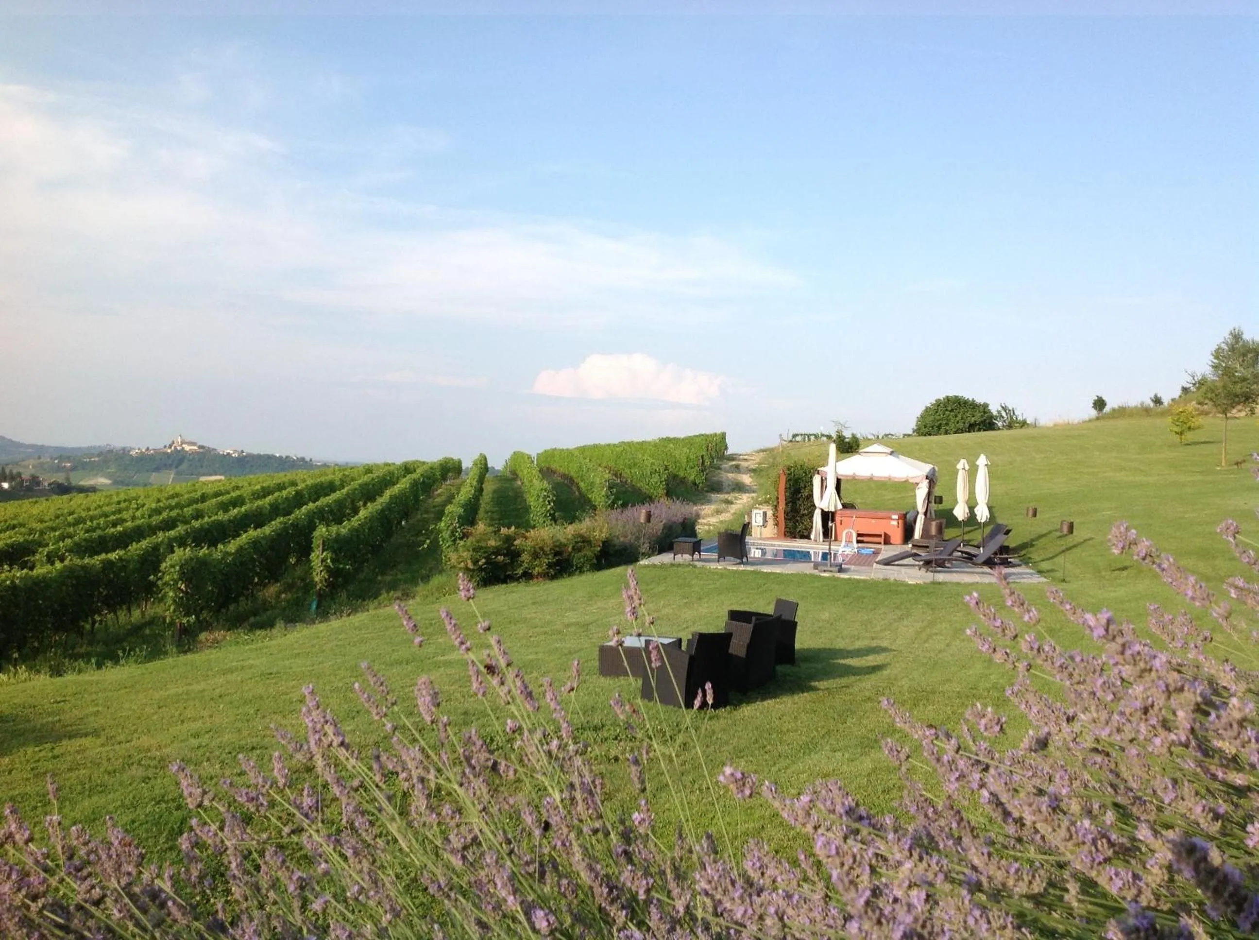 View (from property/room) in Agriturismo La Casa in Collina