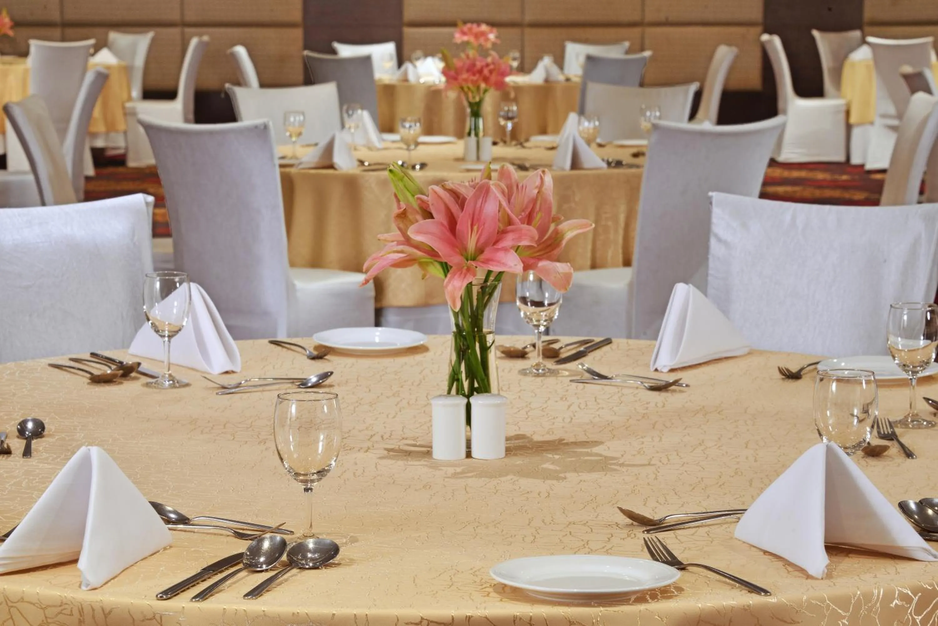 Business facilities in Radisson Hotel Agra