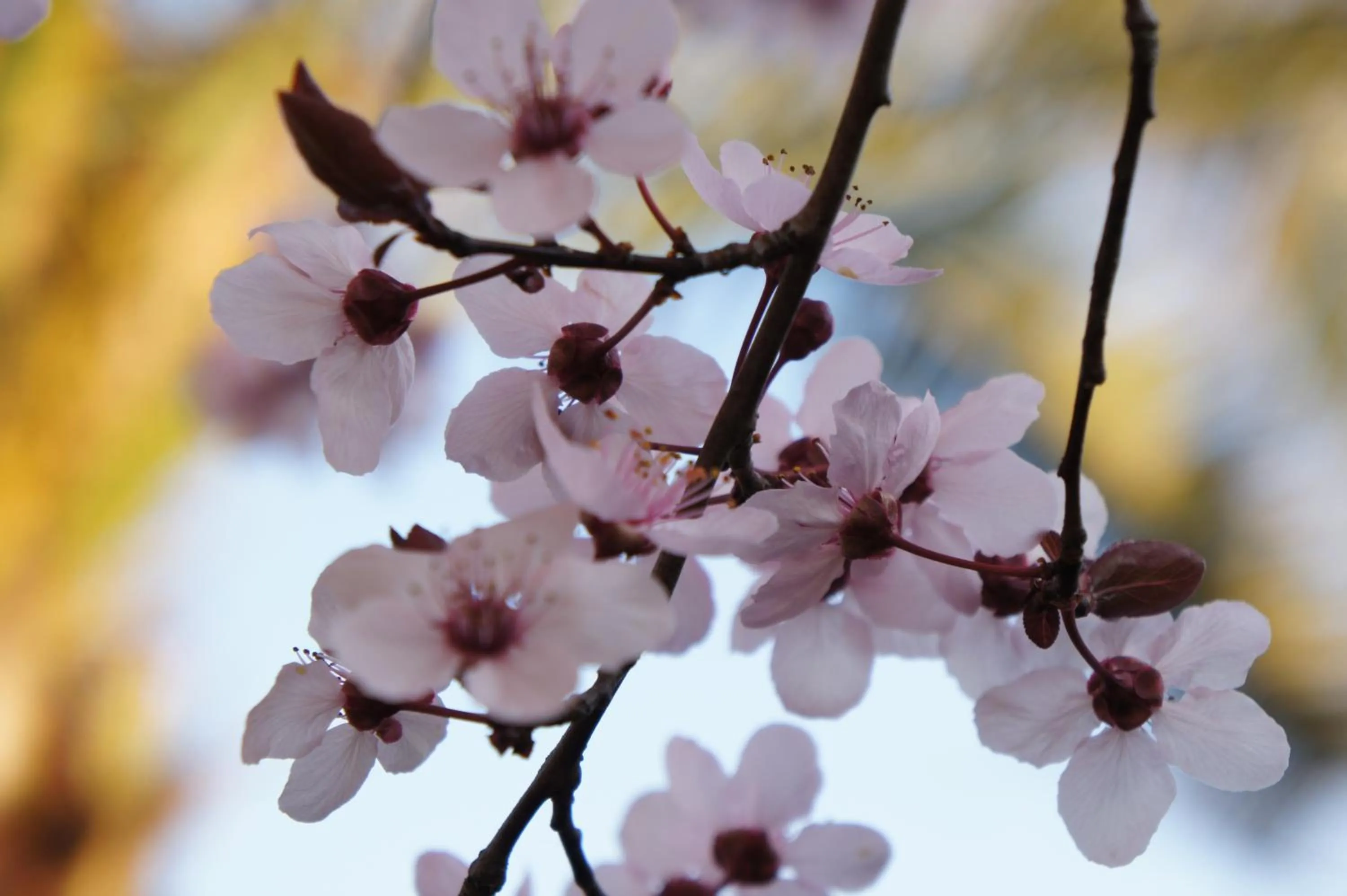 Natural landscape in Hotel L' Orto degli Otelli