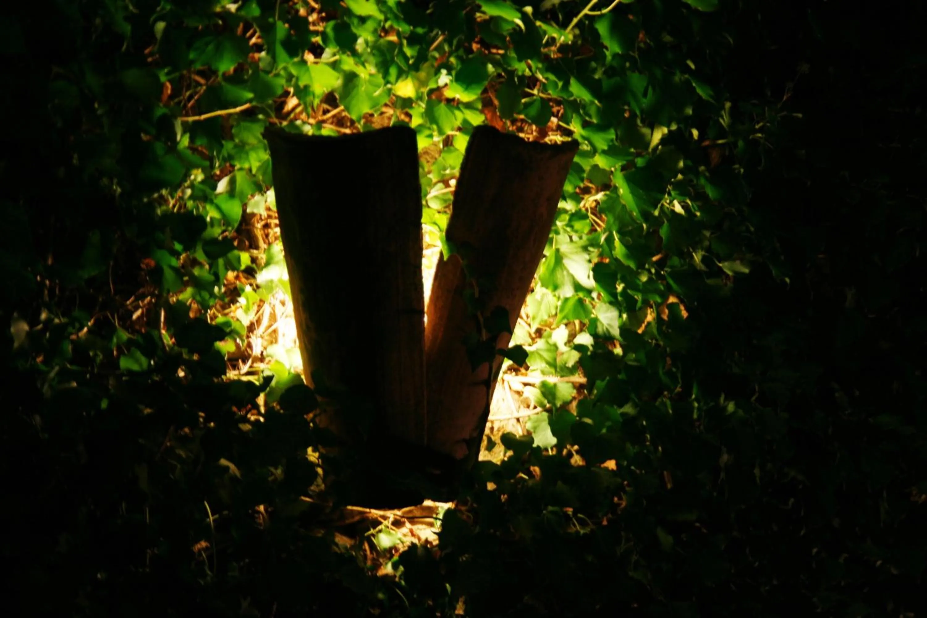 Other in Hotel L' Orto degli Otelli