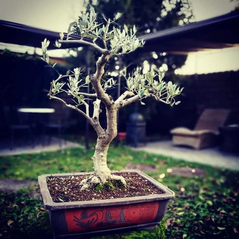 Hotel L' Orto degli Otelli