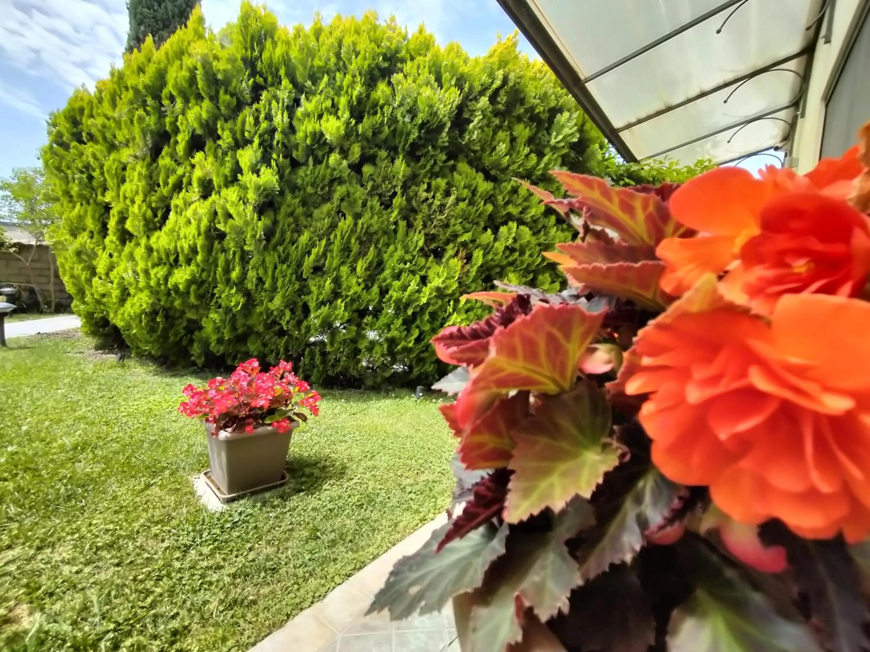 Hotel L' Orto degli Otelli