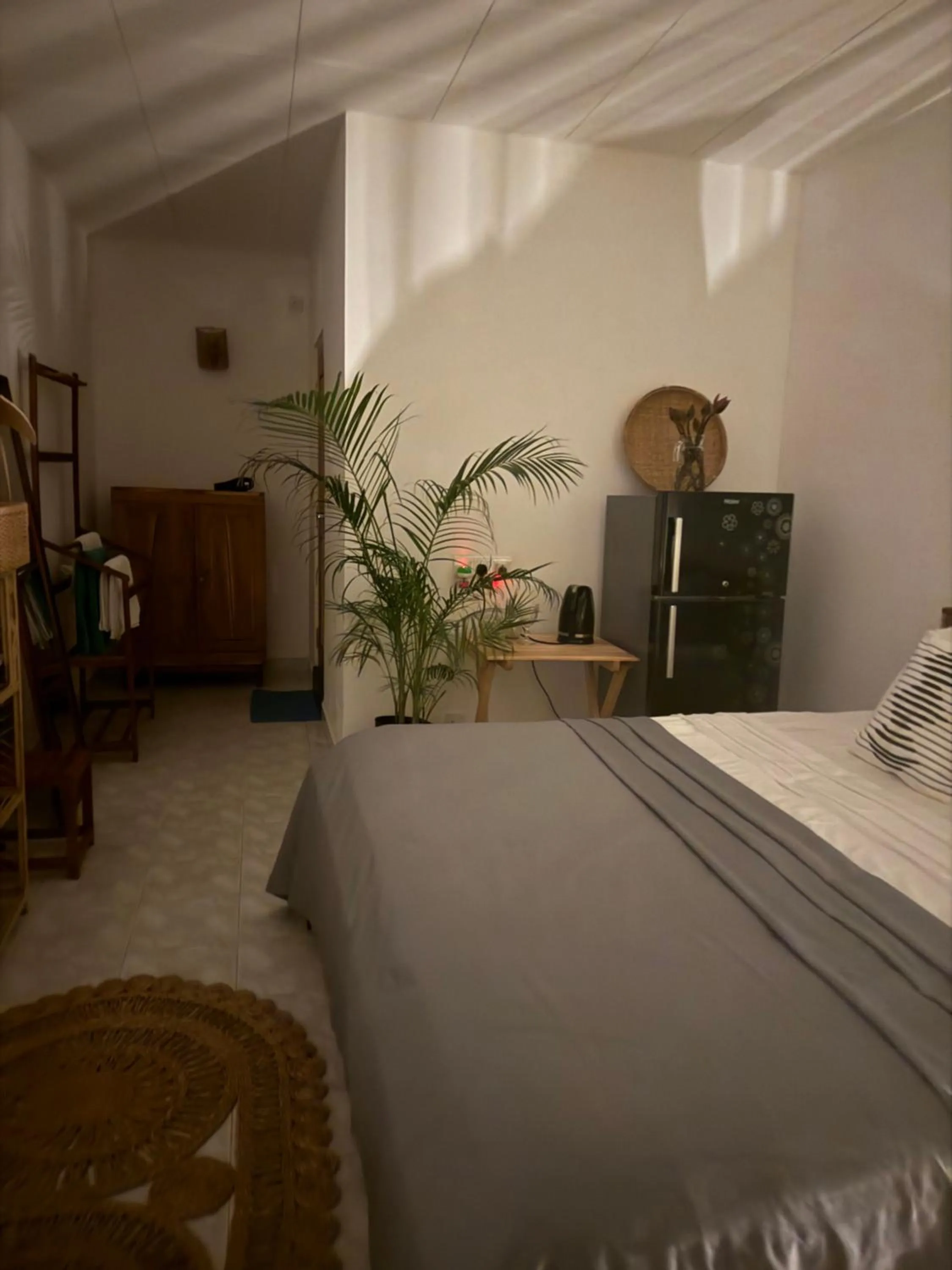 Coconut Palm beach restaurant and rooms