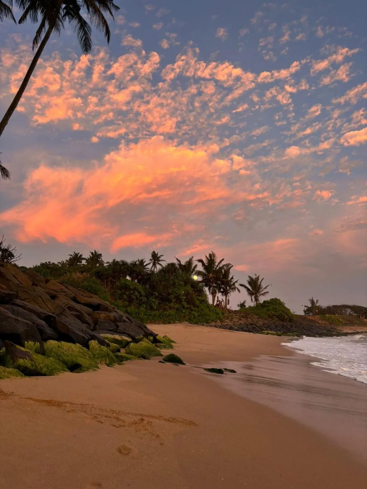 Coconut Palm beach restaurant and rooms