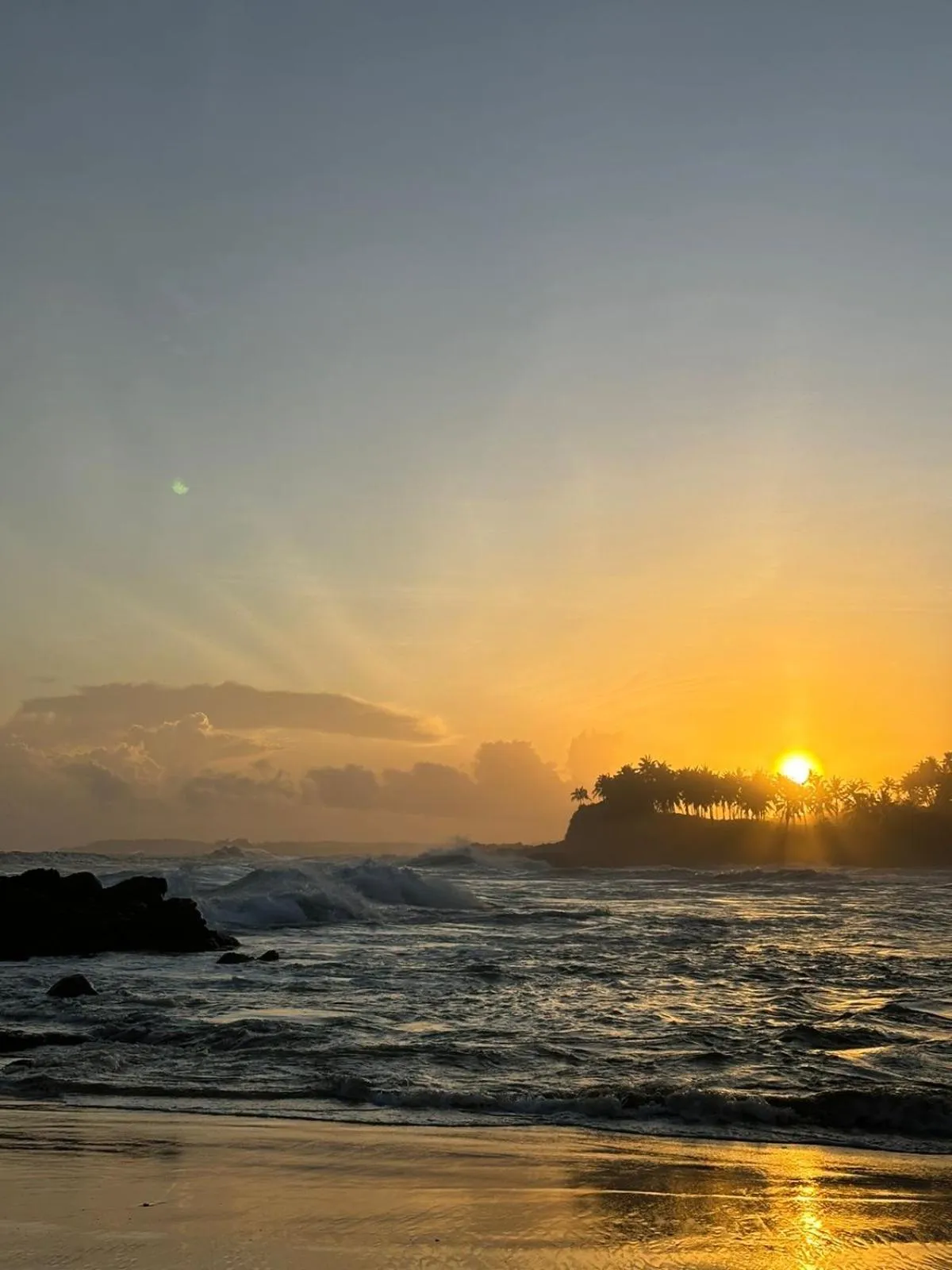 Coconut Palm beach restaurant and rooms