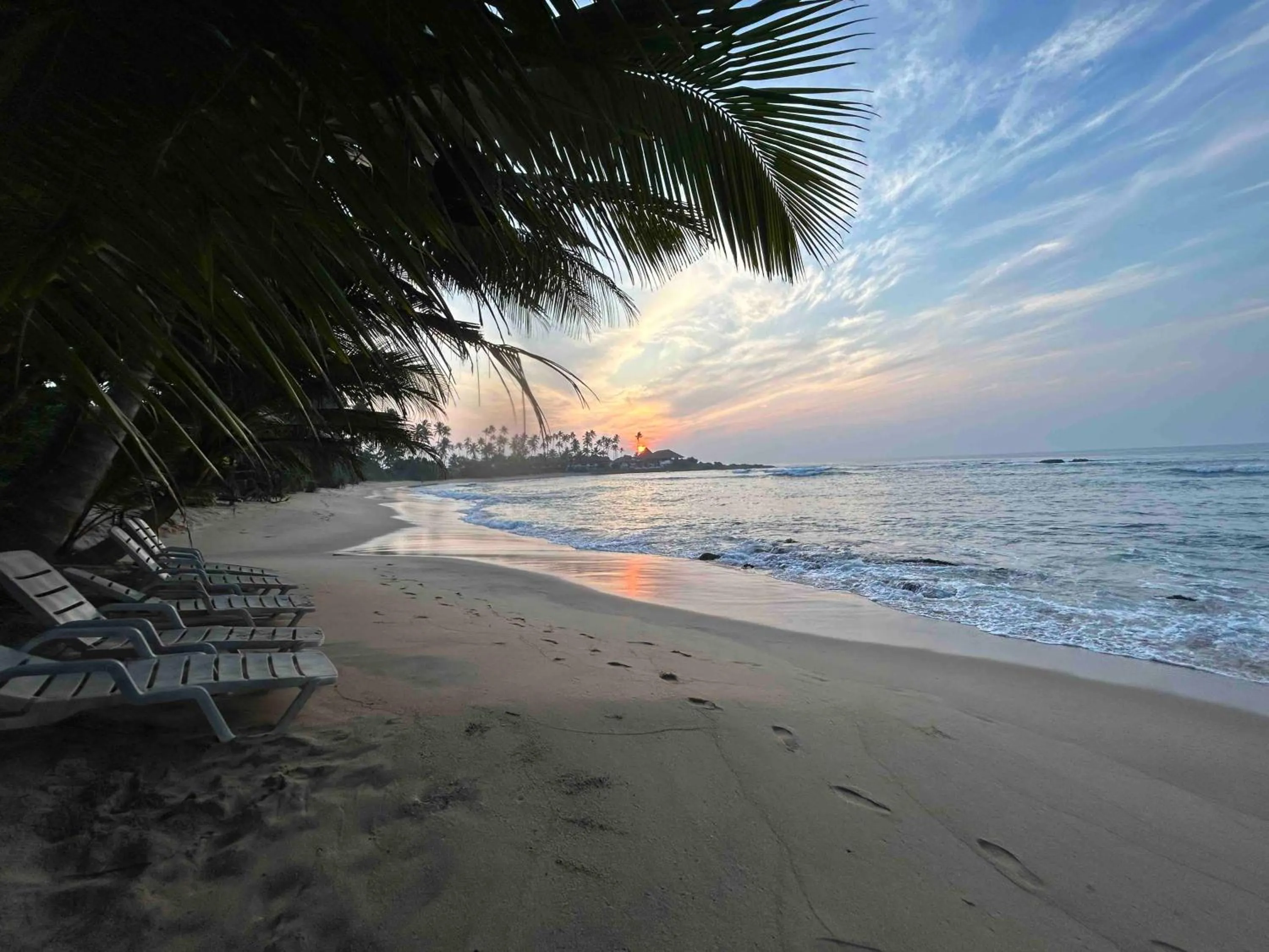 Natural landscape in Coconut Palm beach restaurant and rooms