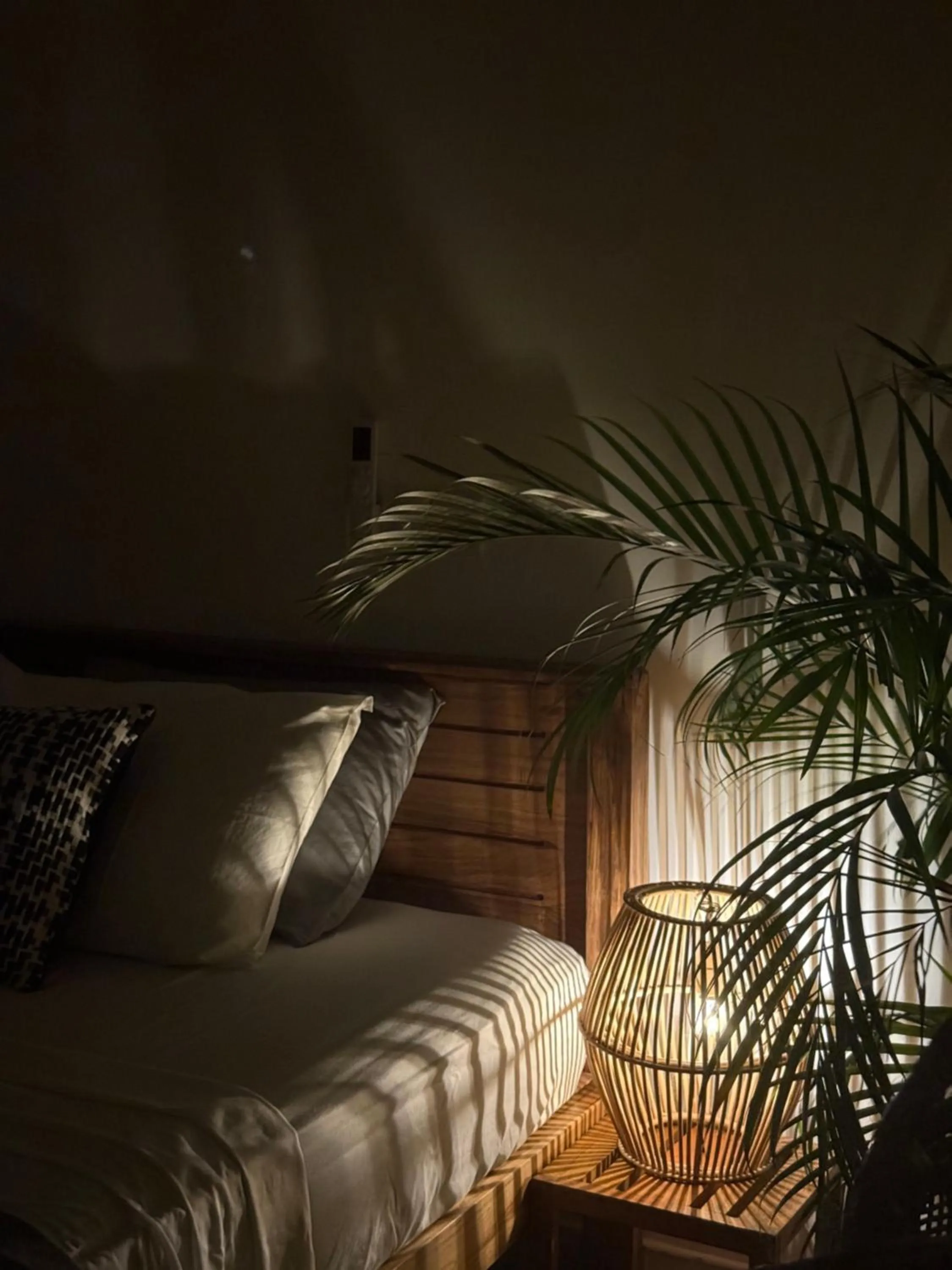 Coconut Palm beach restaurant and rooms