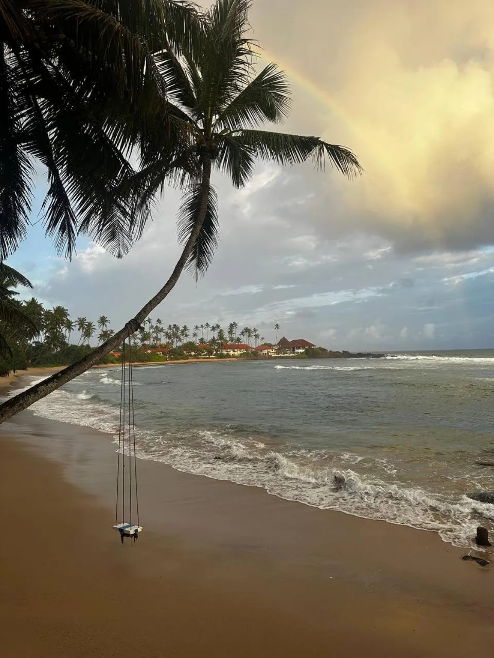 Natural landscape in Coconut Palm beach restaurant and rooms