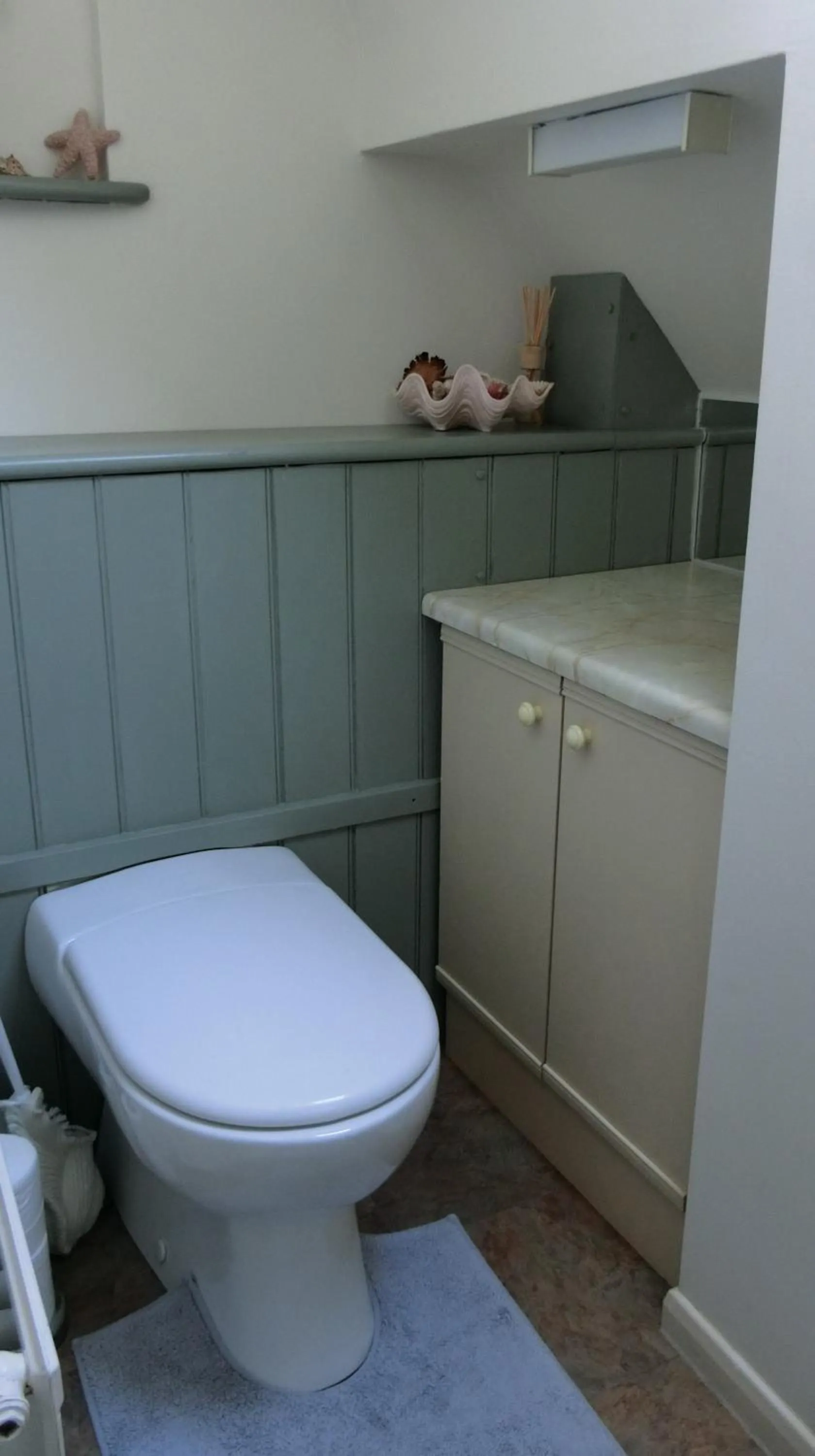 Toilet in The Haven at Talysarn