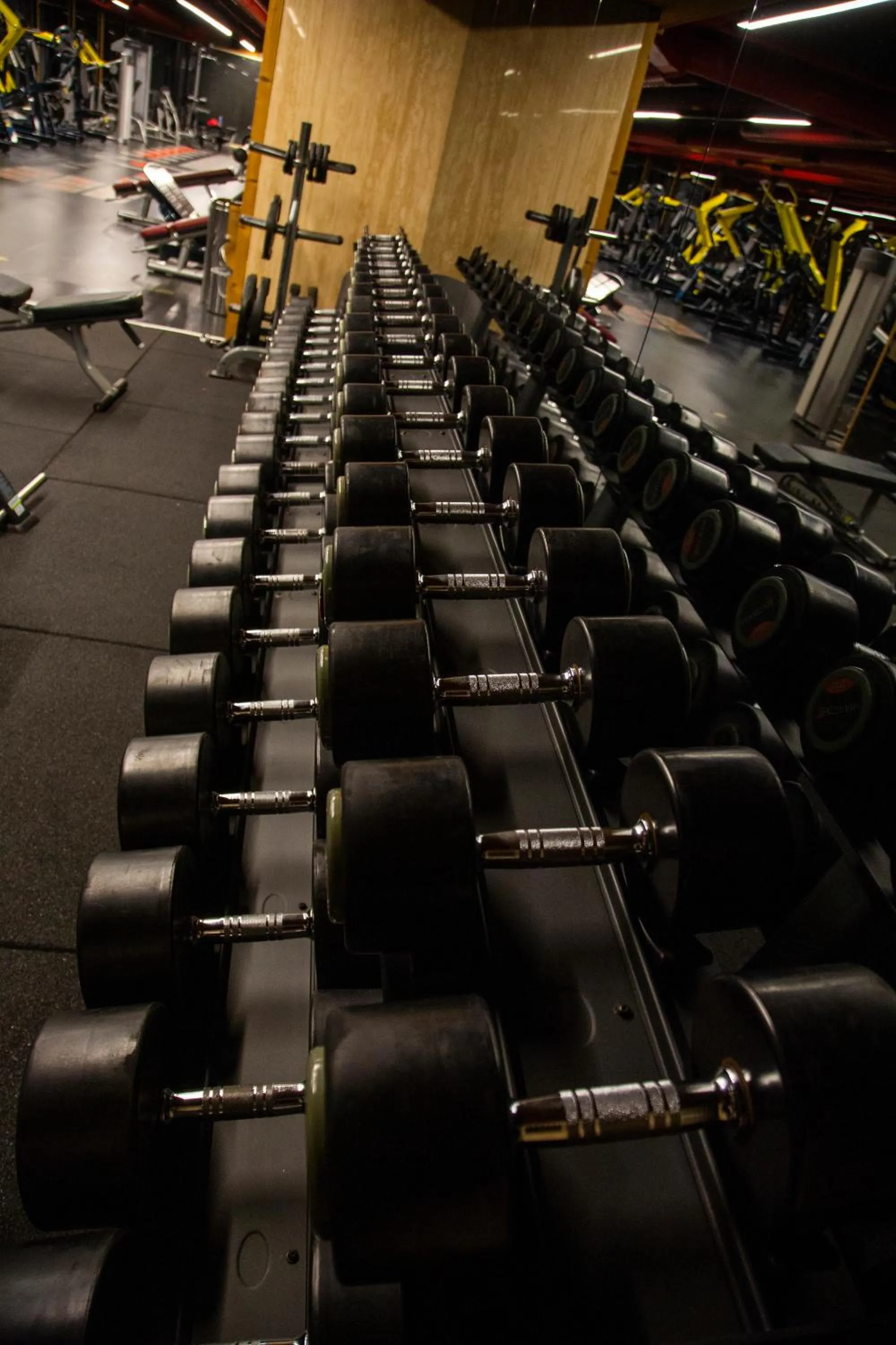 Sports in Dosso Dossi Hotels & SPA Downtown