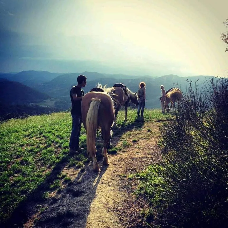 Monte Termine Country House