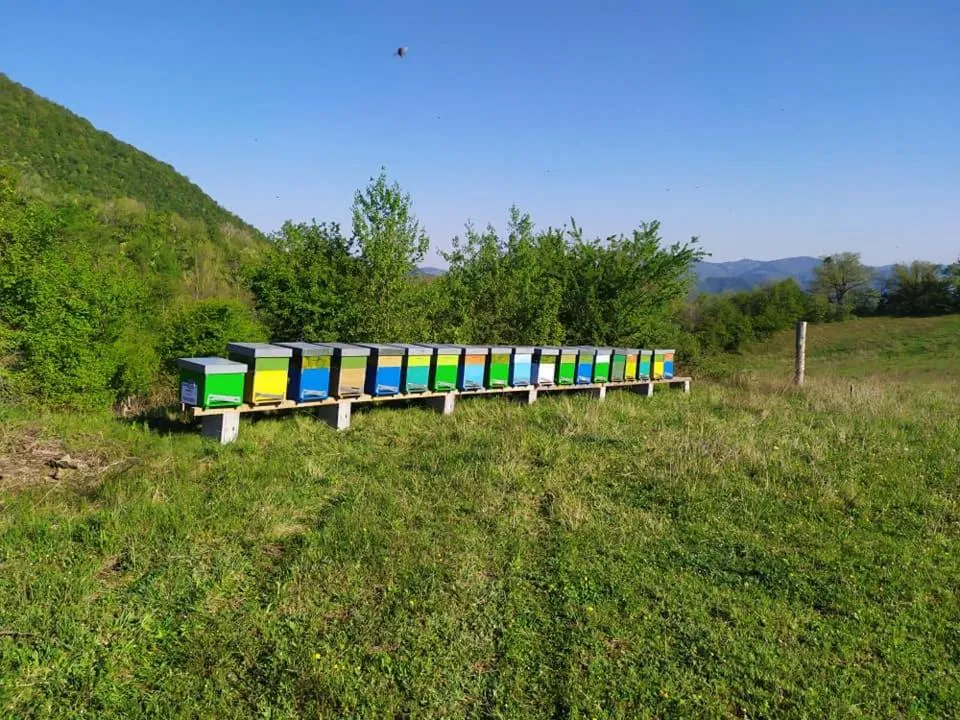 Monte Termine Country House