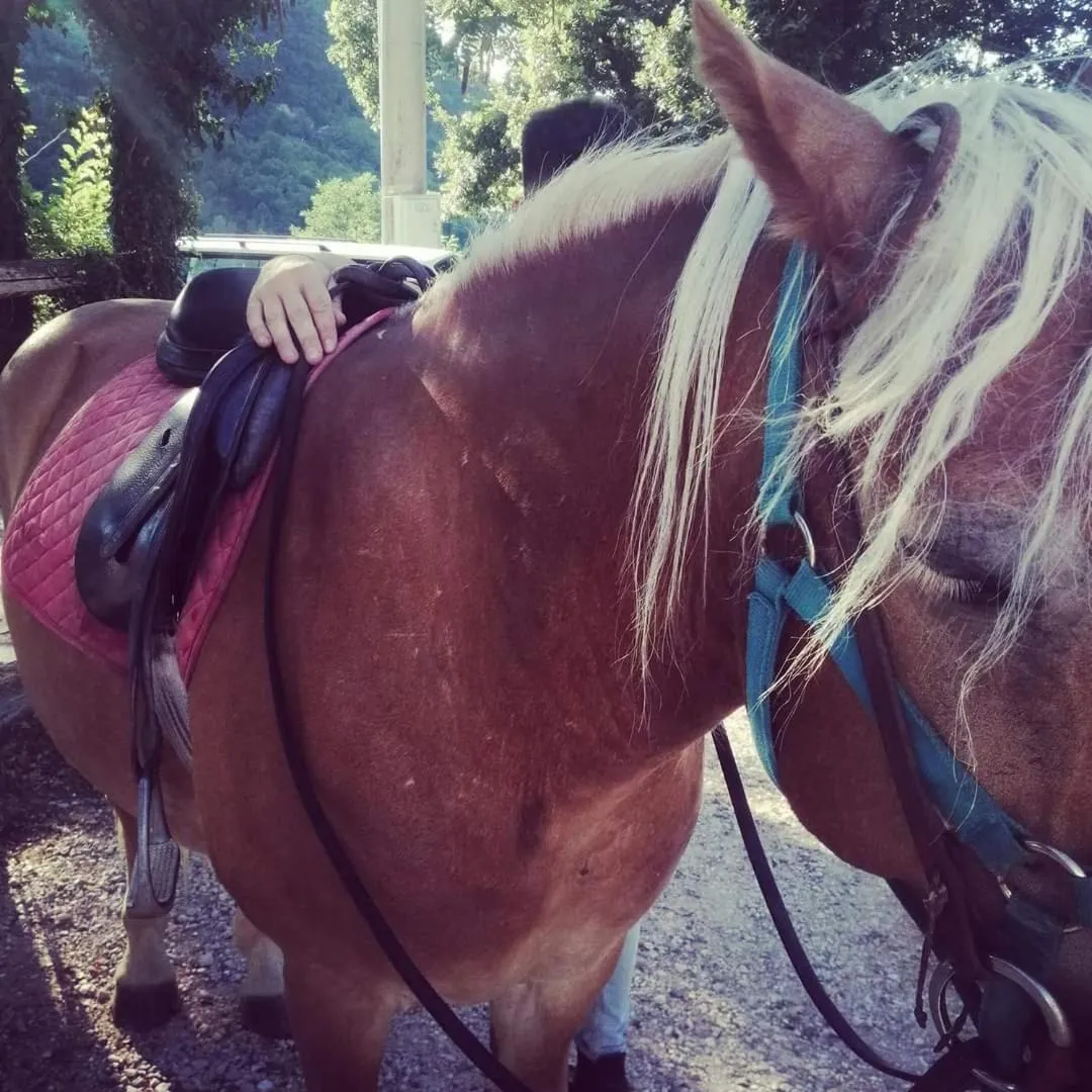 Monte Termine Country House