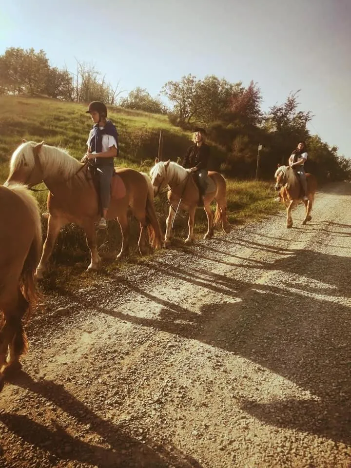 Monte Termine Country House