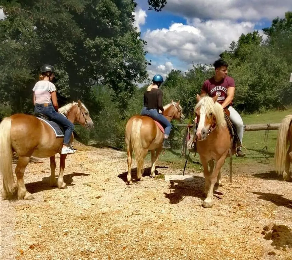 Monte Termine Country House