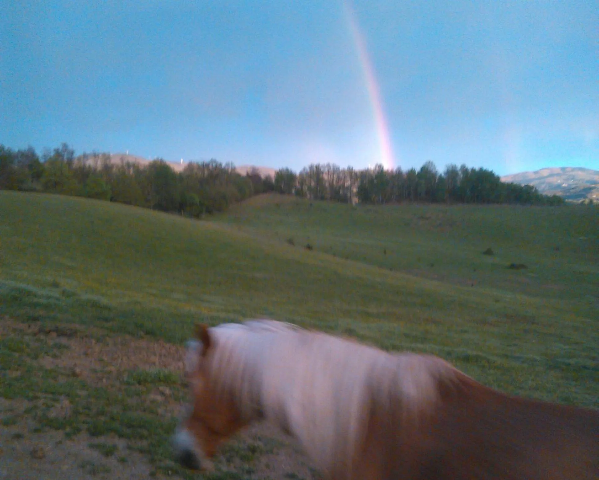 Garden view in Monte Termine Country House