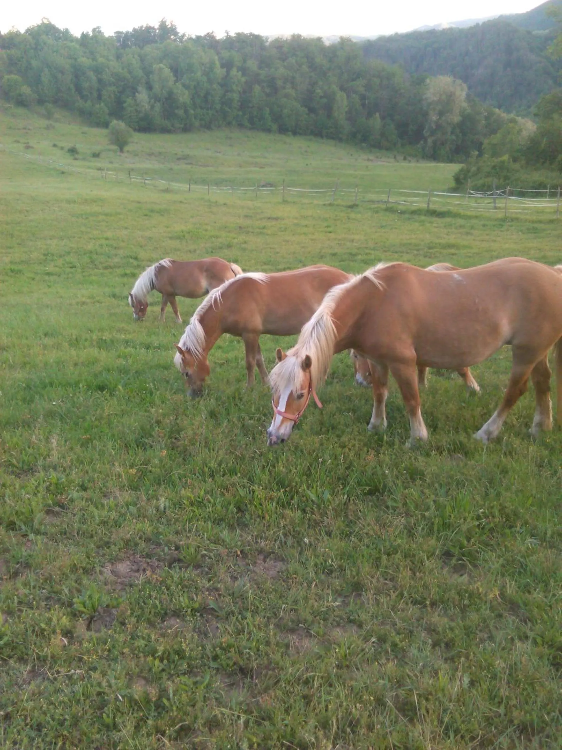 Garden view in Monte Termine Country House