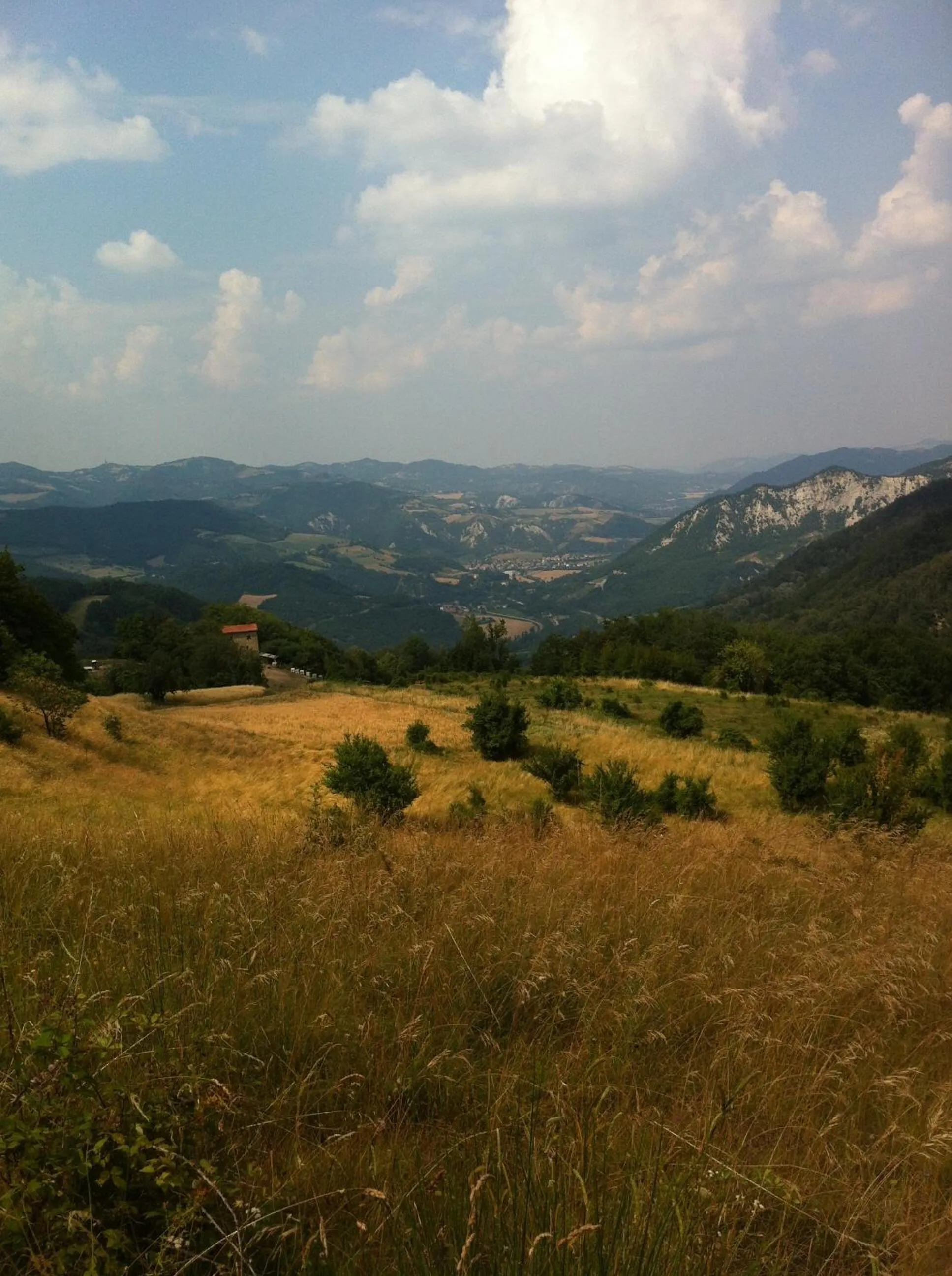 Garden in Monte Termine Country House