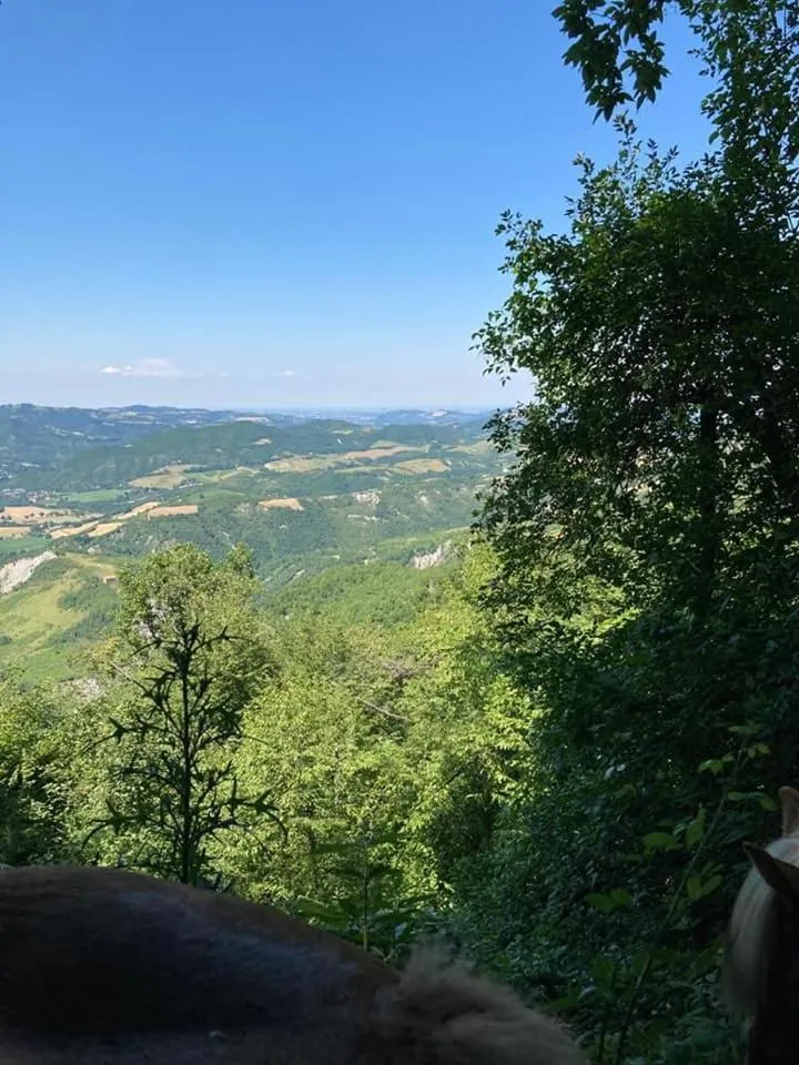 Monte Termine Country House