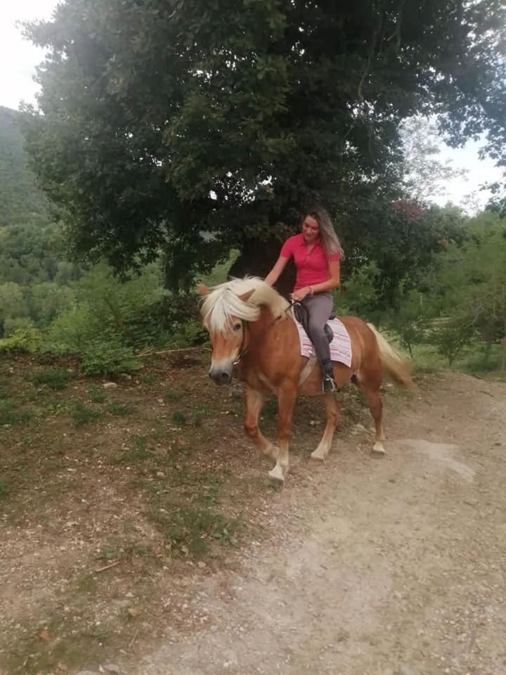 Monte Termine Country House