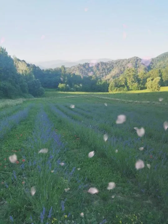 Natural landscape in Monte Termine Country House