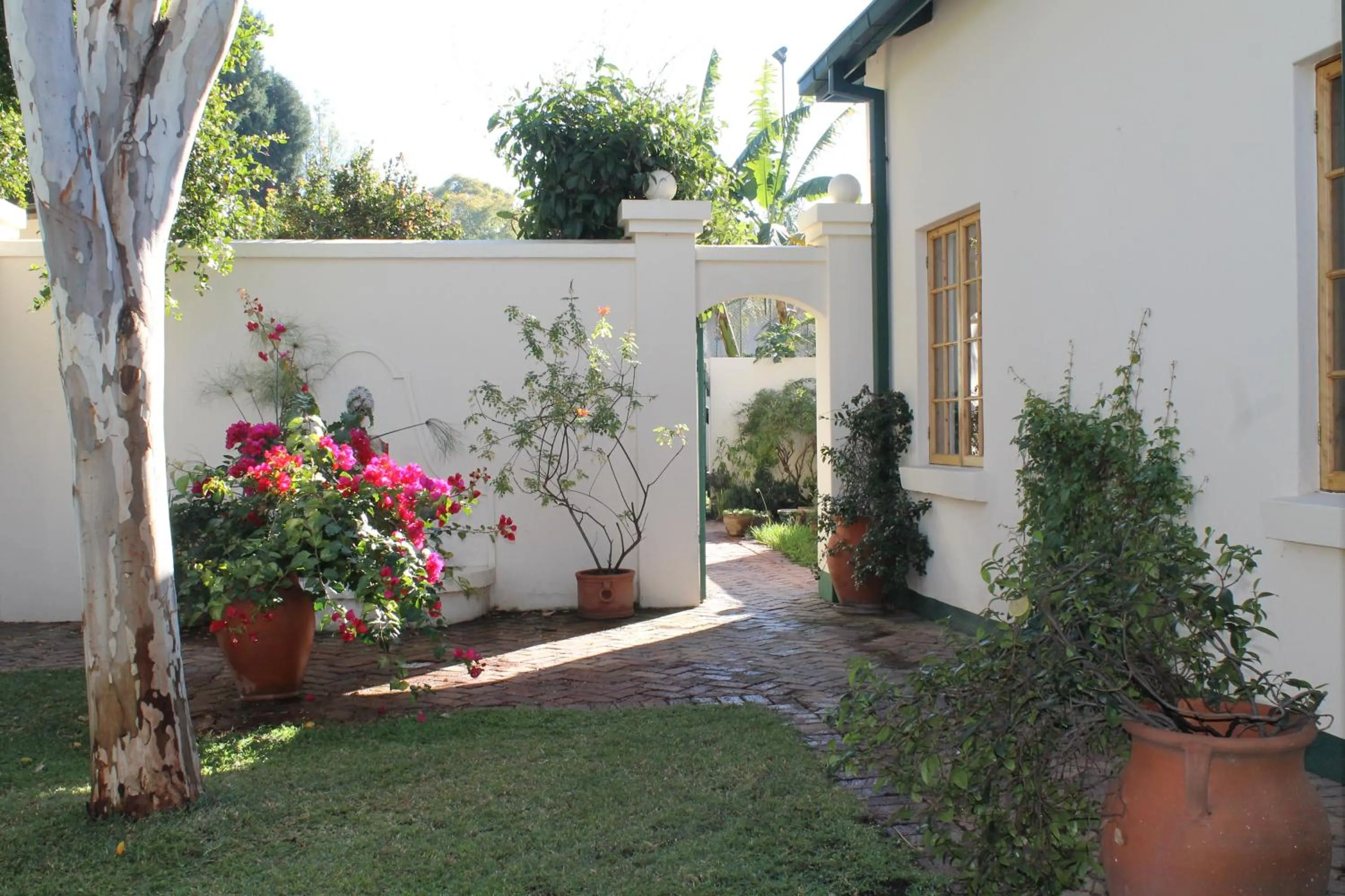 Garden in York Lodge