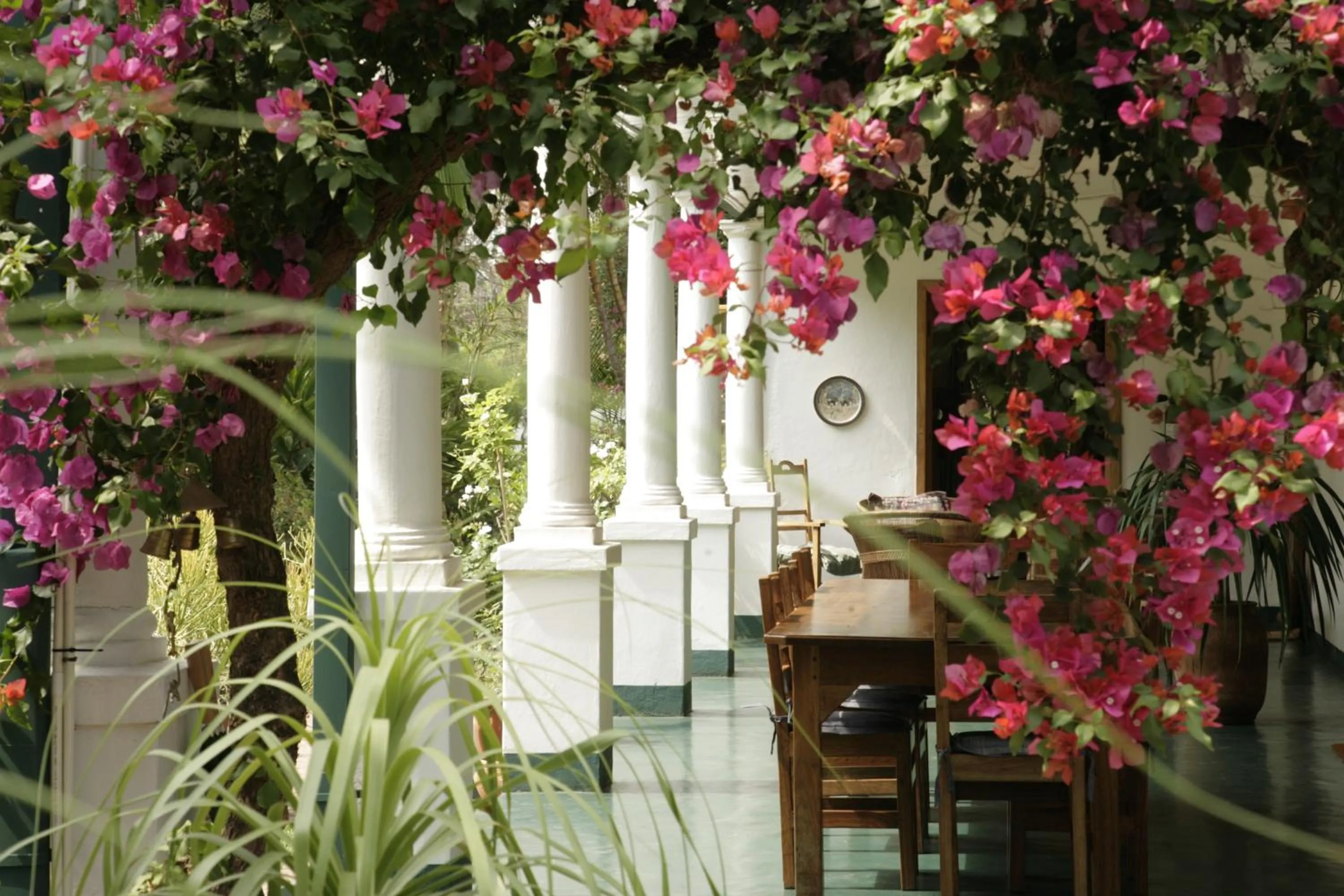 Facade/entrance in York Lodge