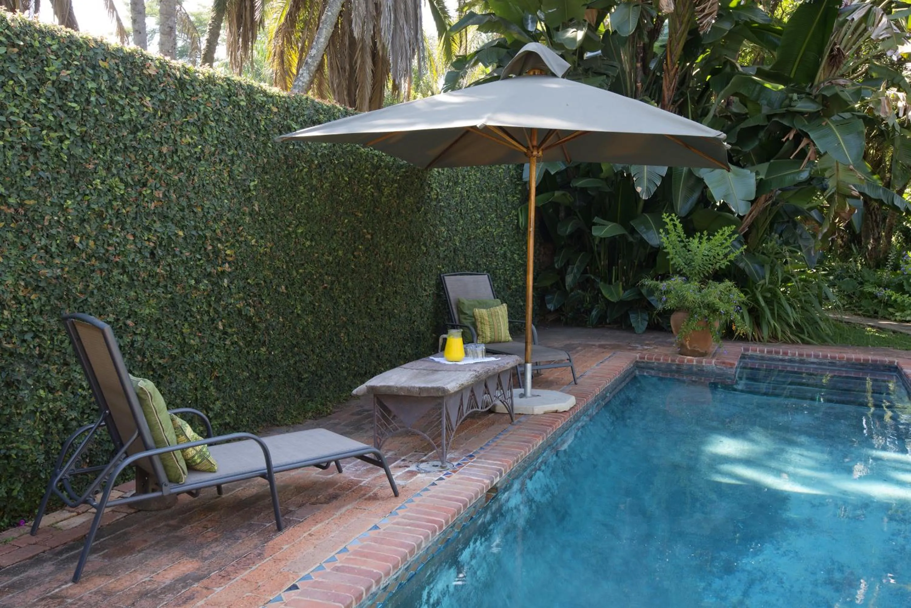 Swimming pool in York Lodge
