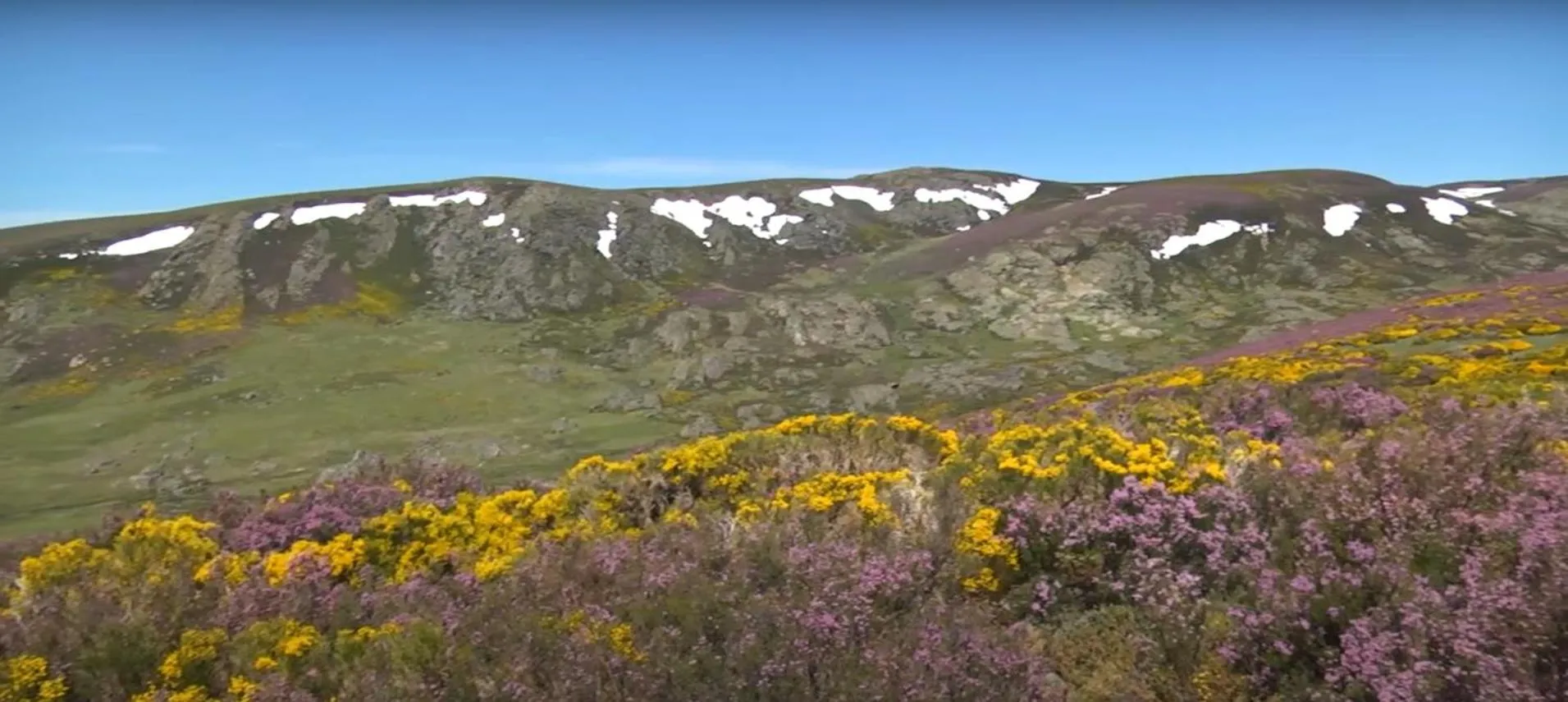 La Posada de Pedrazales