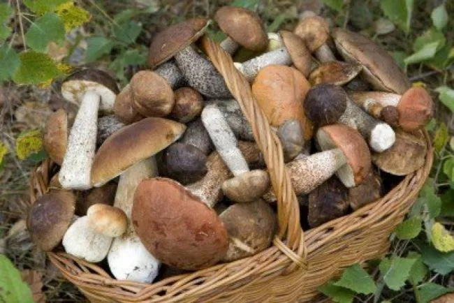 La Posada de Pedrazales