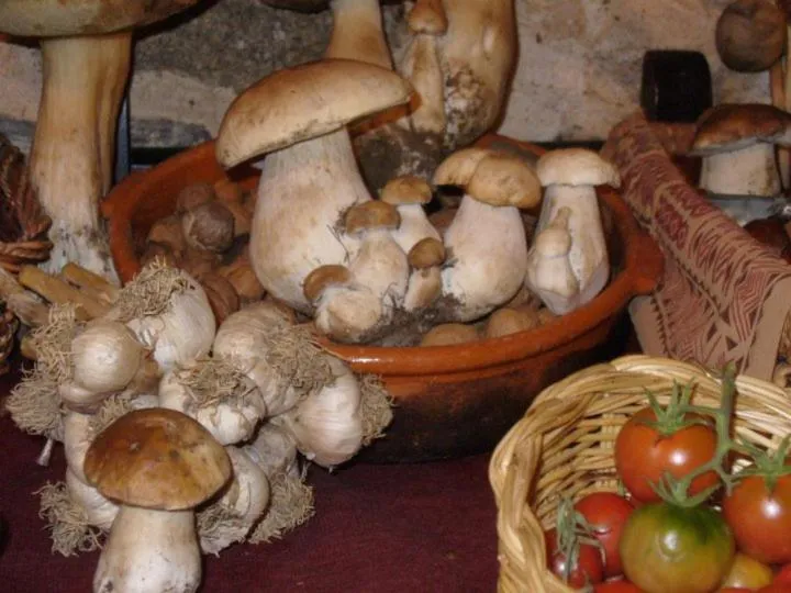 La Posada de Pedrazales