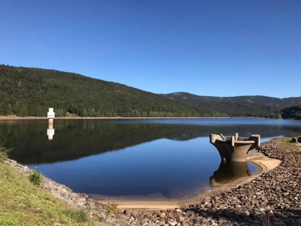 Hotel Waldfrieden "Das kleine Hotel"