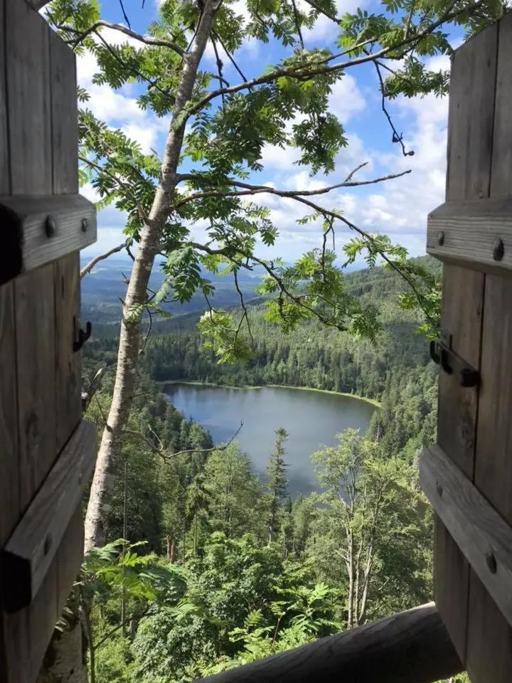 Hotel Waldfrieden "Das kleine Hotel"
