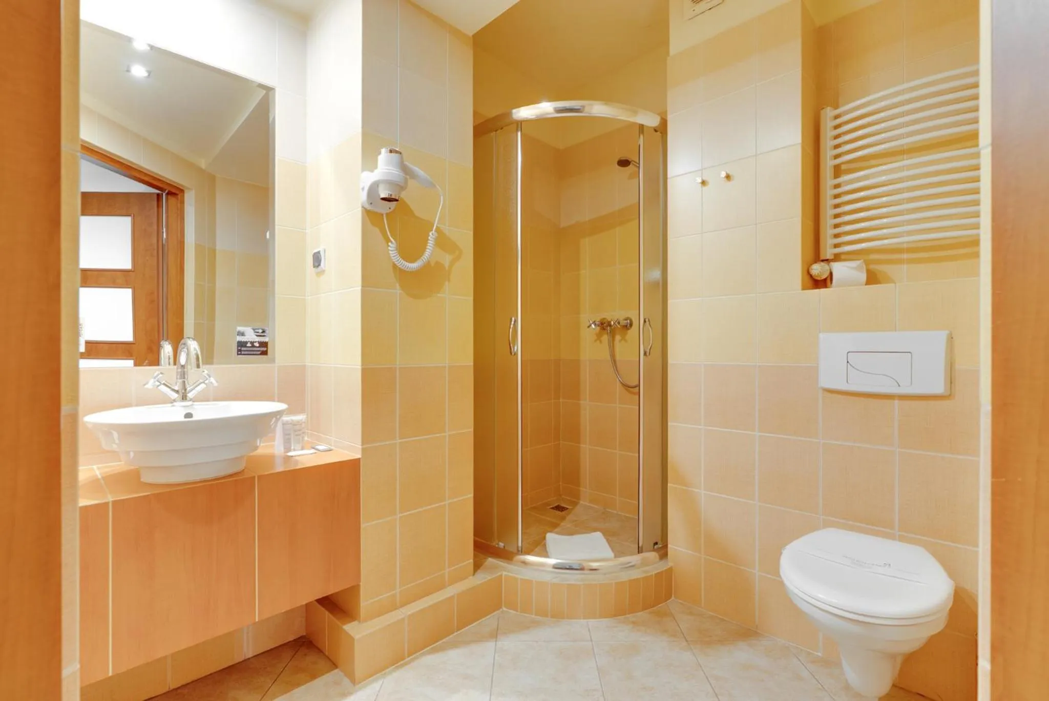 Shower in Hotel Diament Vacanza Katowice - Siemianowice