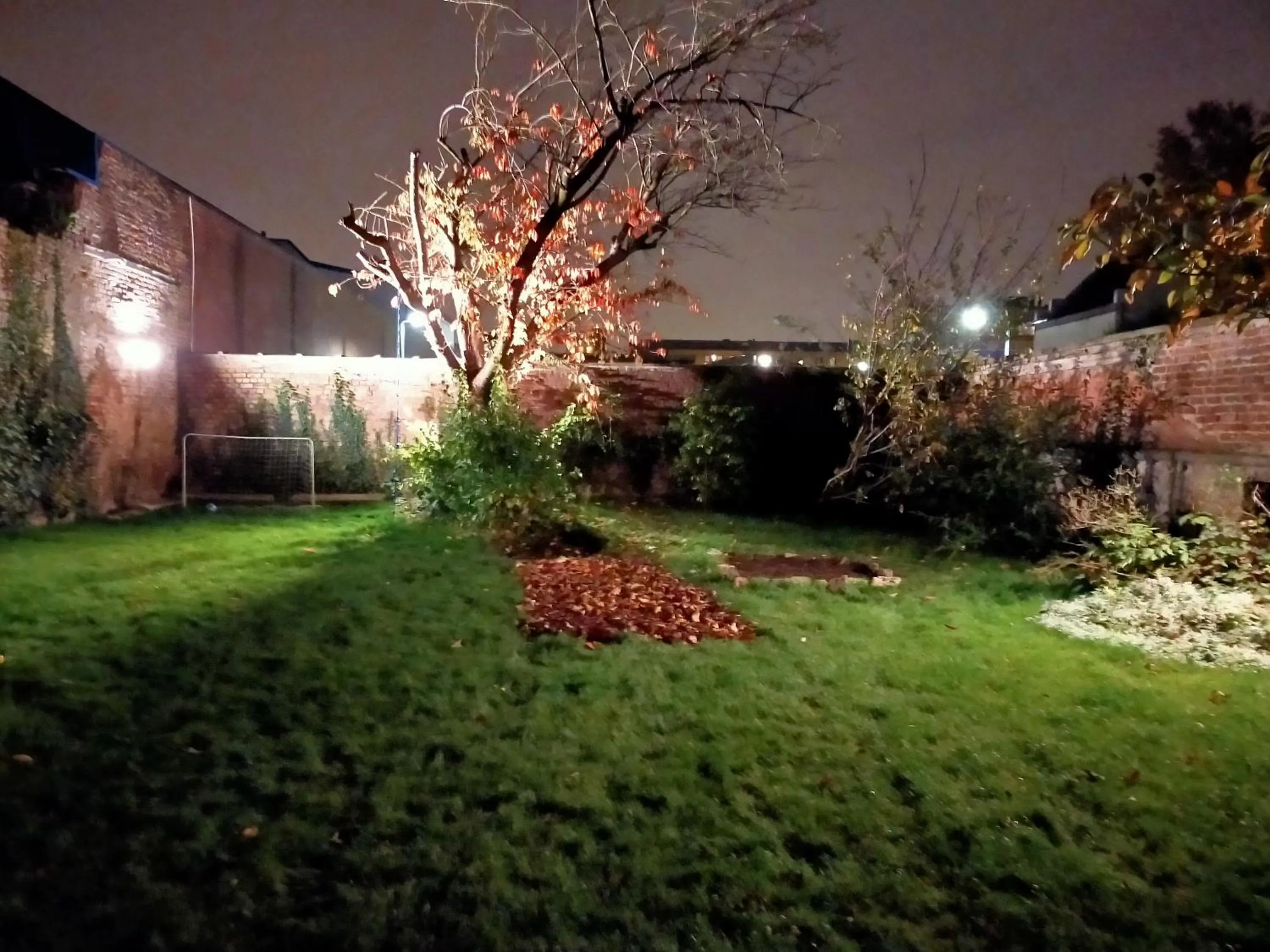 Garden in La Maison Bleue de Roubaix