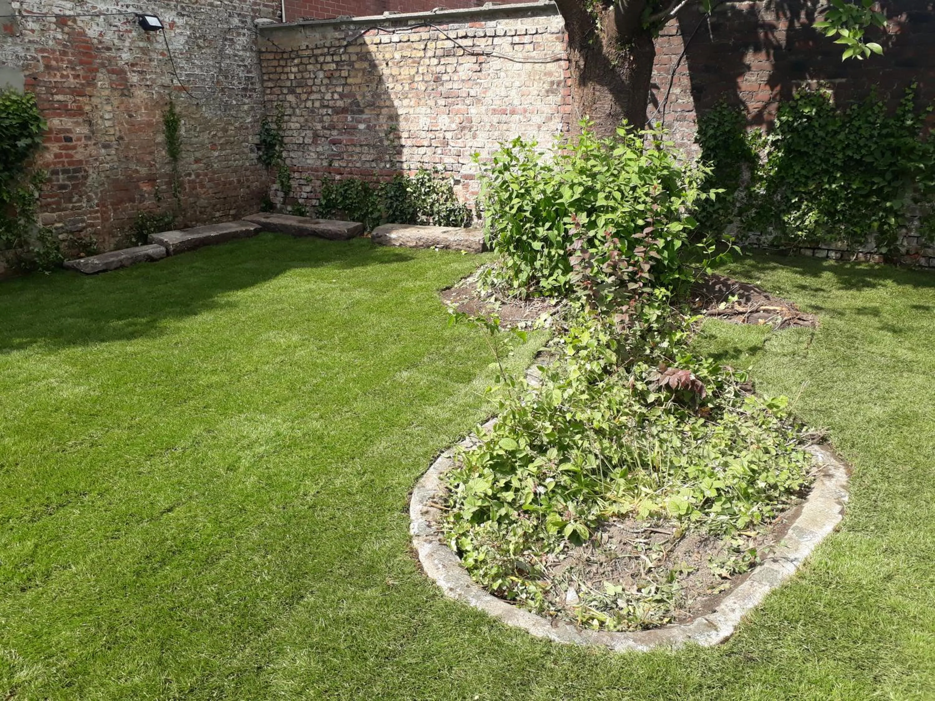 Garden in La Maison Bleue de Roubaix