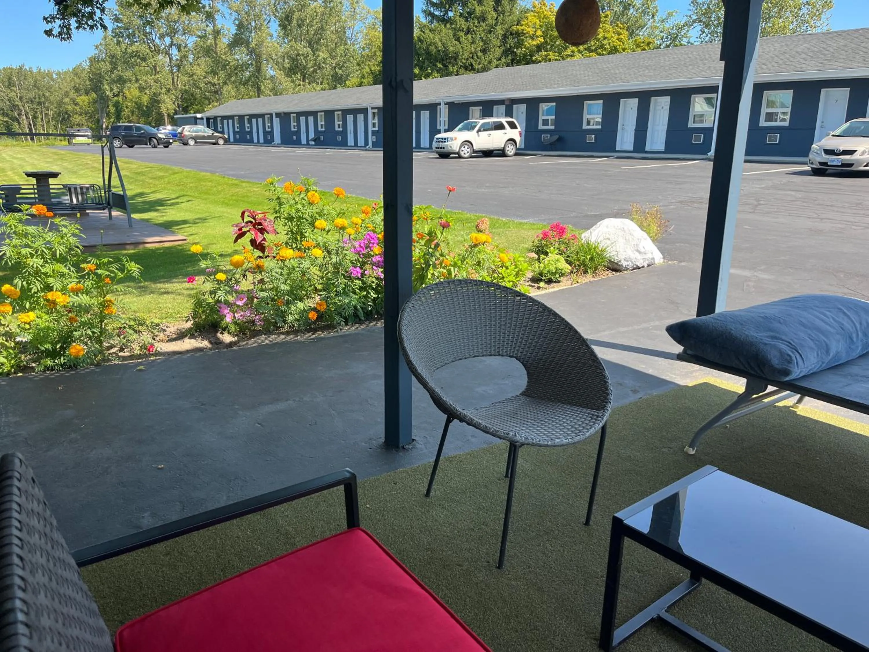 Garden view in Eastcourtmotel